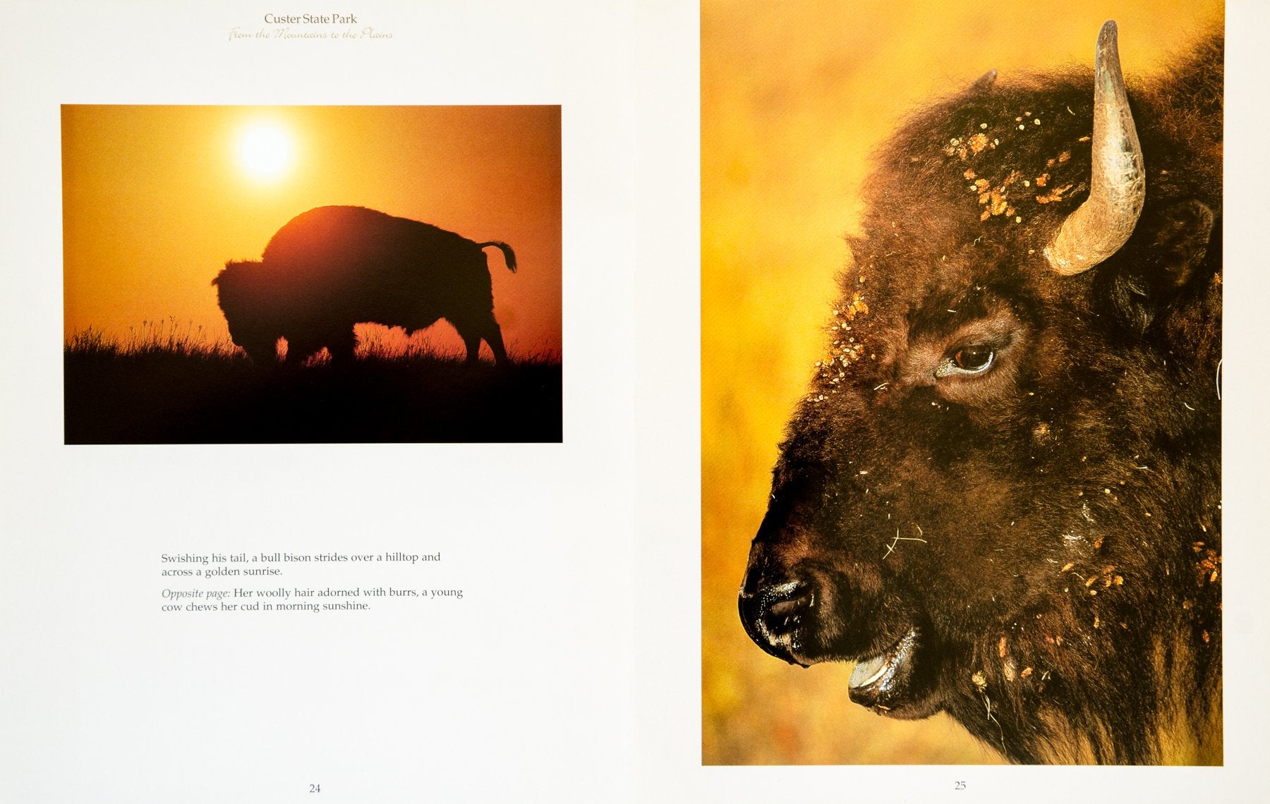 Custer State Park: From the Mountains to the Plains,Used