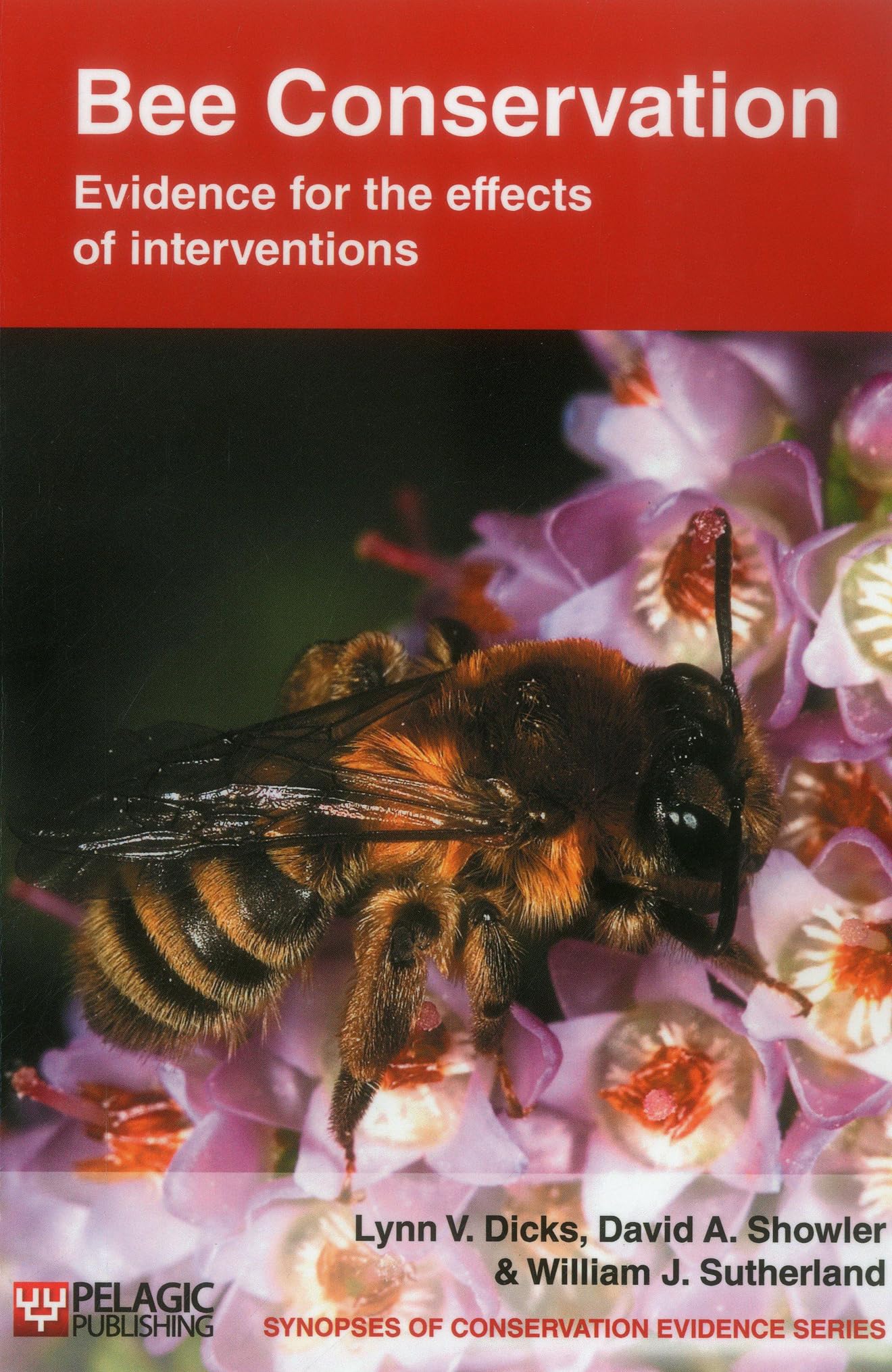 Bee Conservation: Evidence for the effects of interventions (Vol. 1) (Synopses of Conservation Evidence, Vol. 1),Used