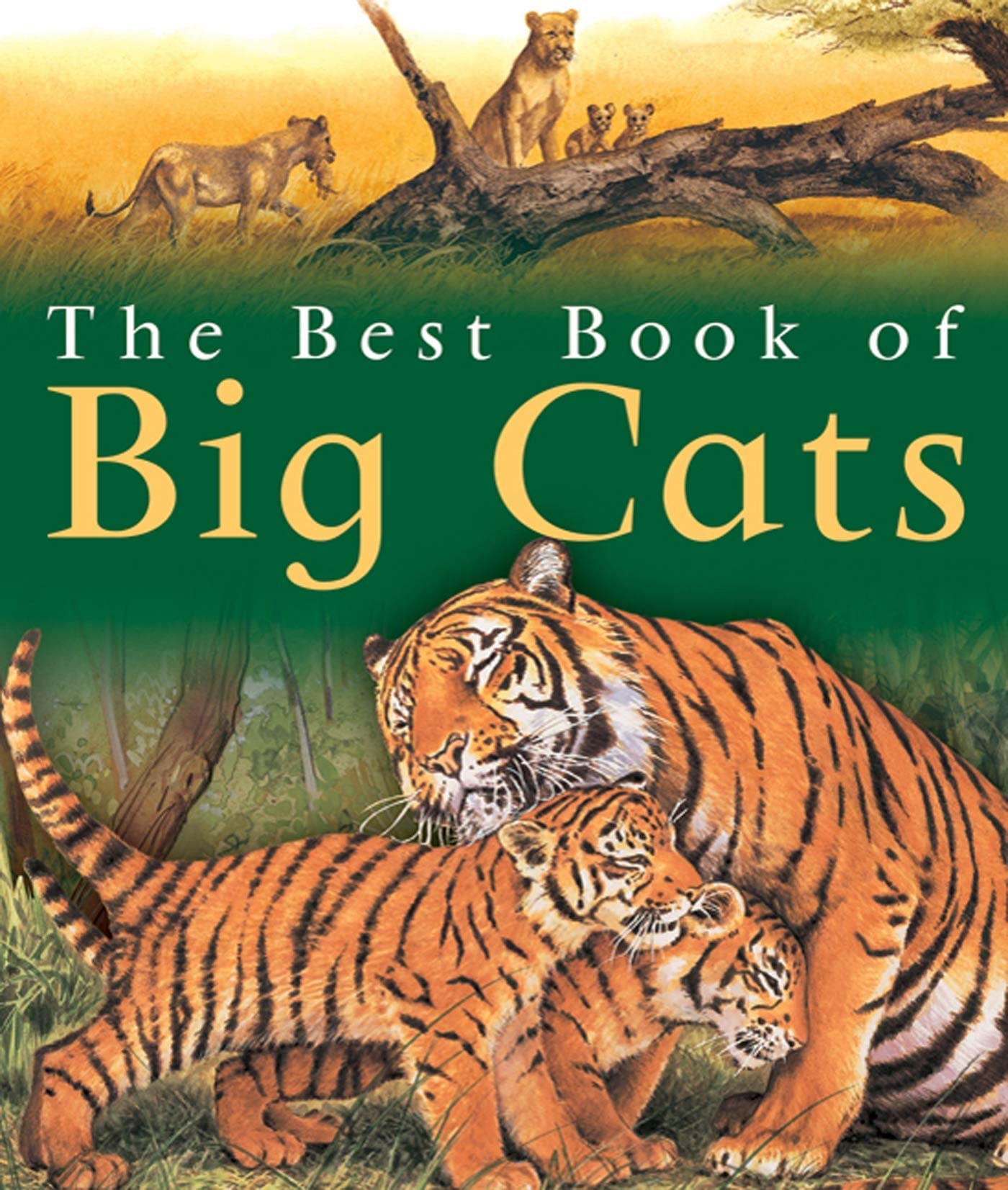 The Best Book Of Big Cats-used