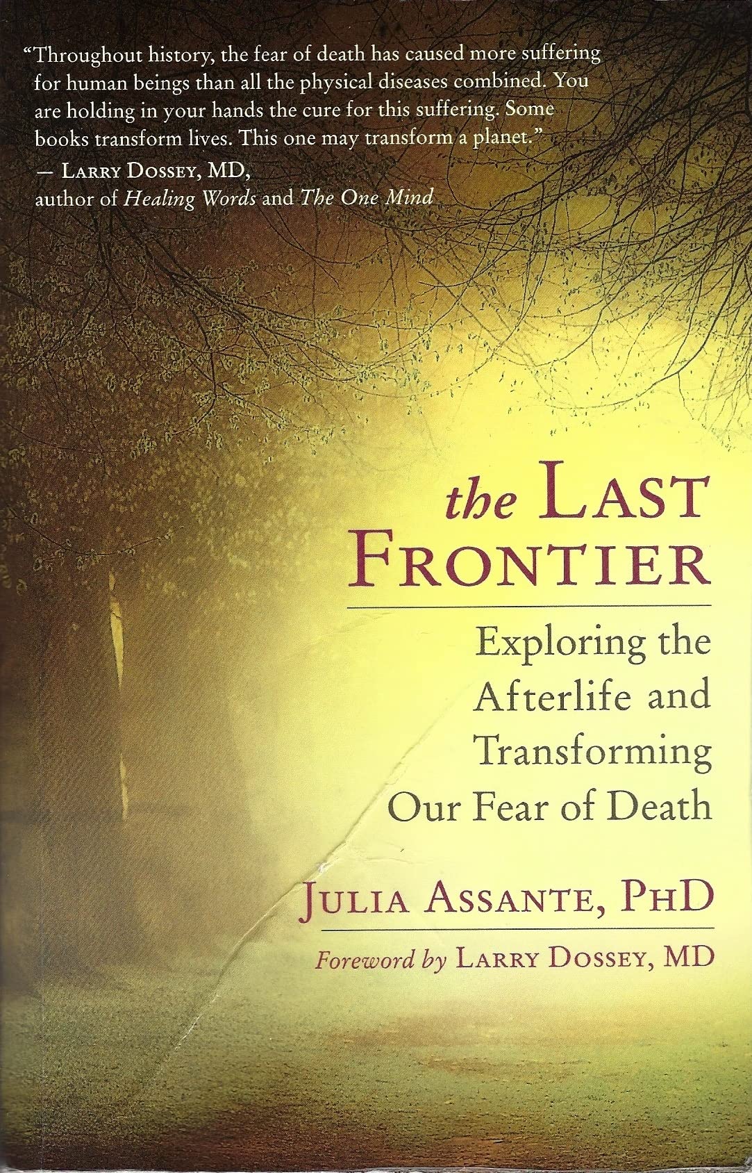 The Last Frontier: Exploring The Afterlife And Transforming Our Fear Of Death