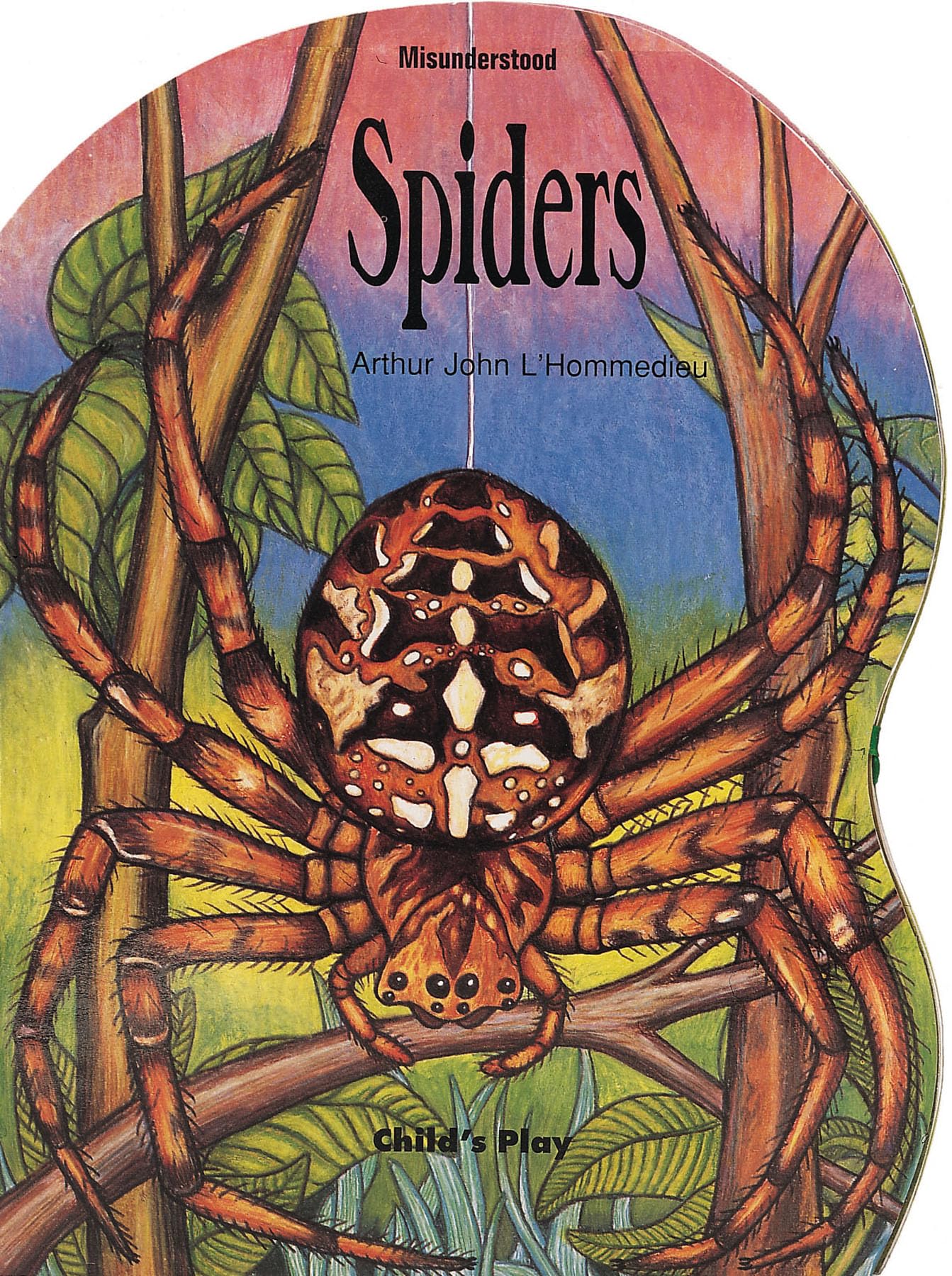 Misunderstood: Giant Spiders,Used