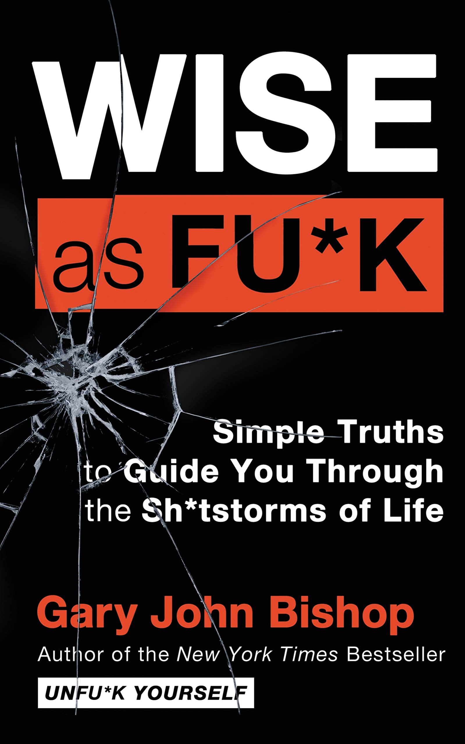 Wise as Fu*k: Simple Truths to Guide You Through the Sh*tstorms of Life (Unfu*k Yourself series),Used