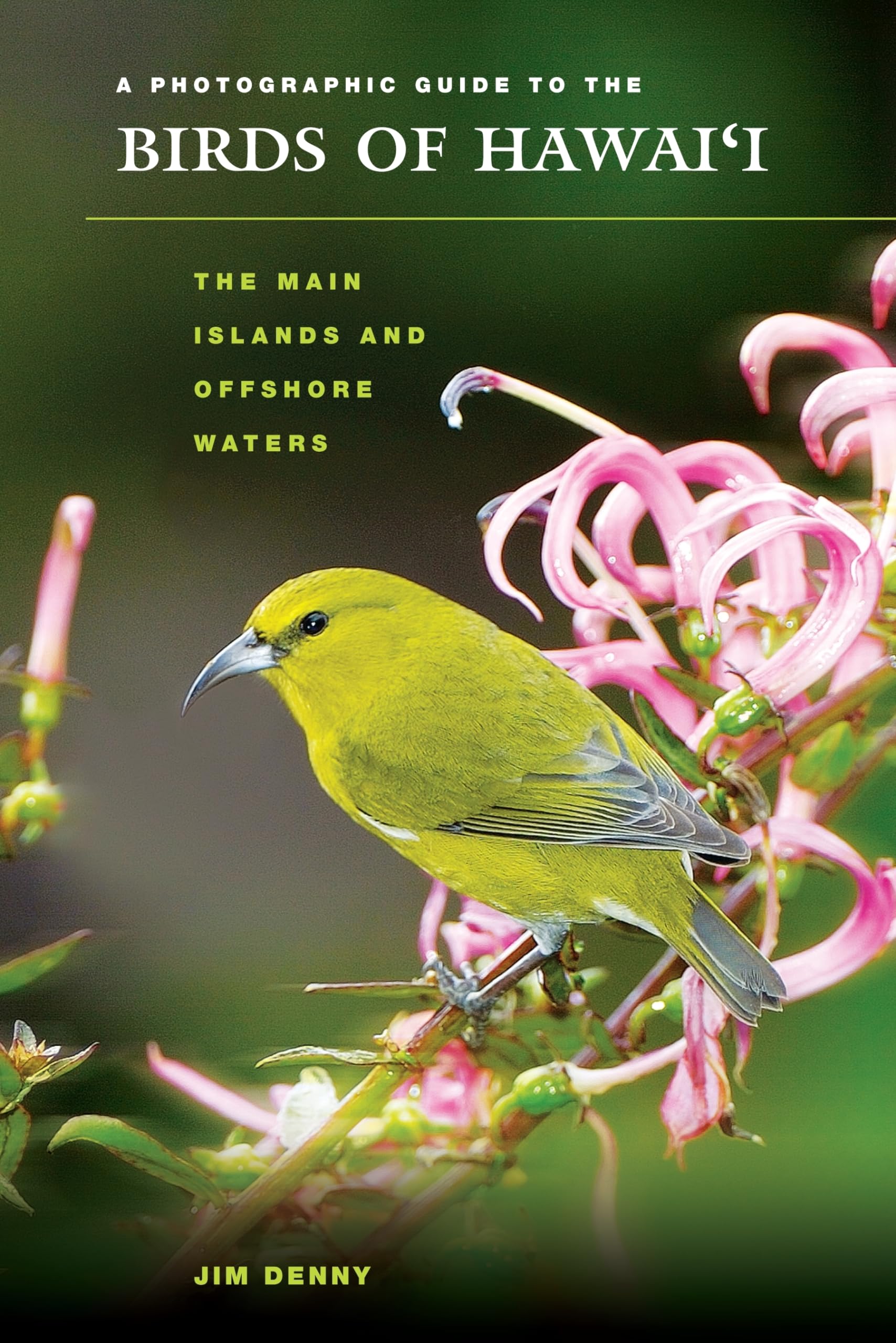 A Photographic Guide To The Birds Of Hawaii: The Main Islands And Offshore Waters (Latitude 20 Books (Paperback)),Used
