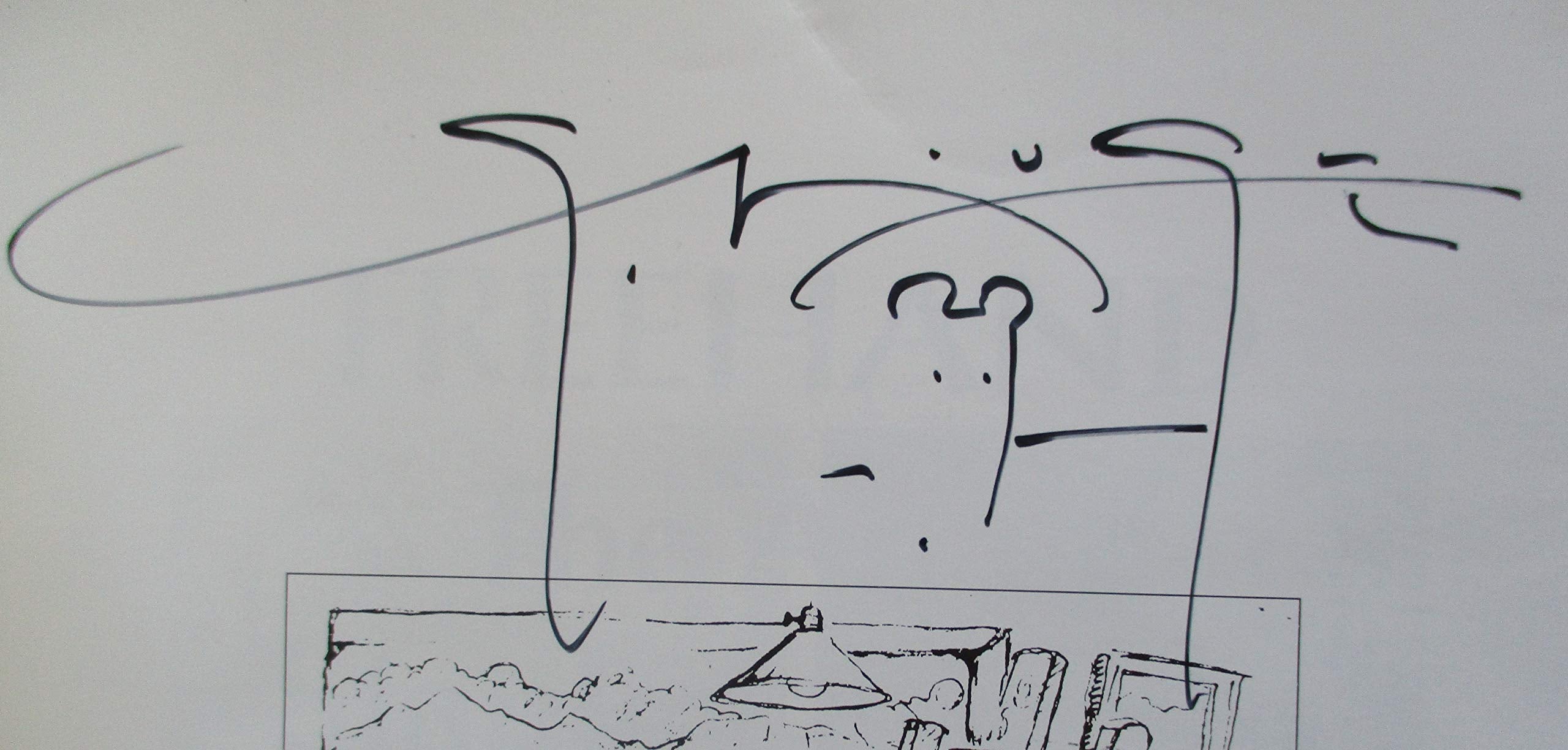 Freehand: The Art Of Stanley Mouse,New