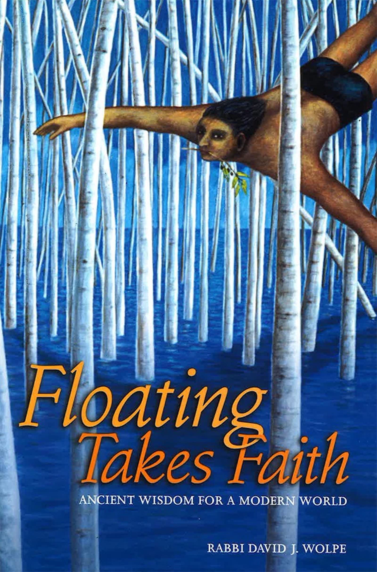 Floating Takes Faith (Schriftenreihe Der Juristischen Gesellschaft Zu Berlin, 136),Used