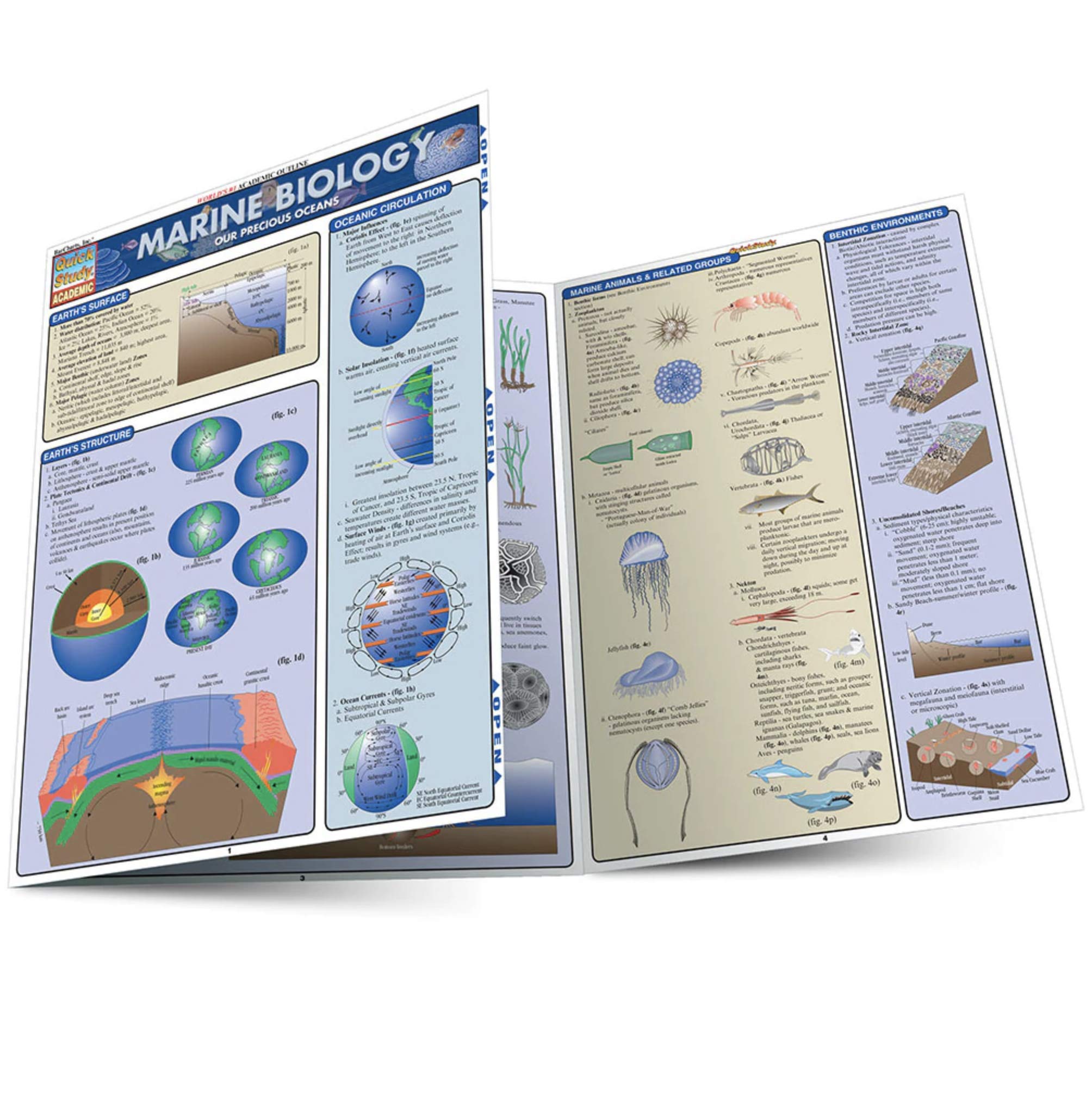 Marine Biology (Quickstudy Reference Guides Academic),New