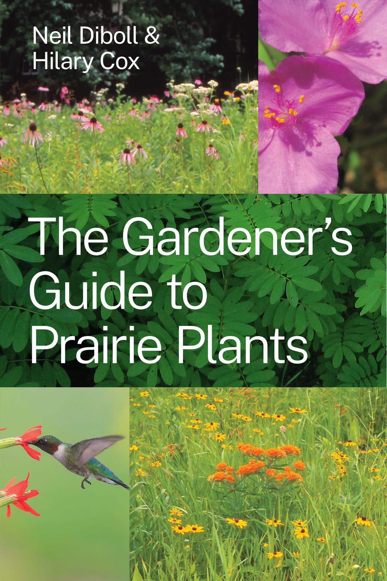 The Gardener's Guide to Prairie Plants,Used