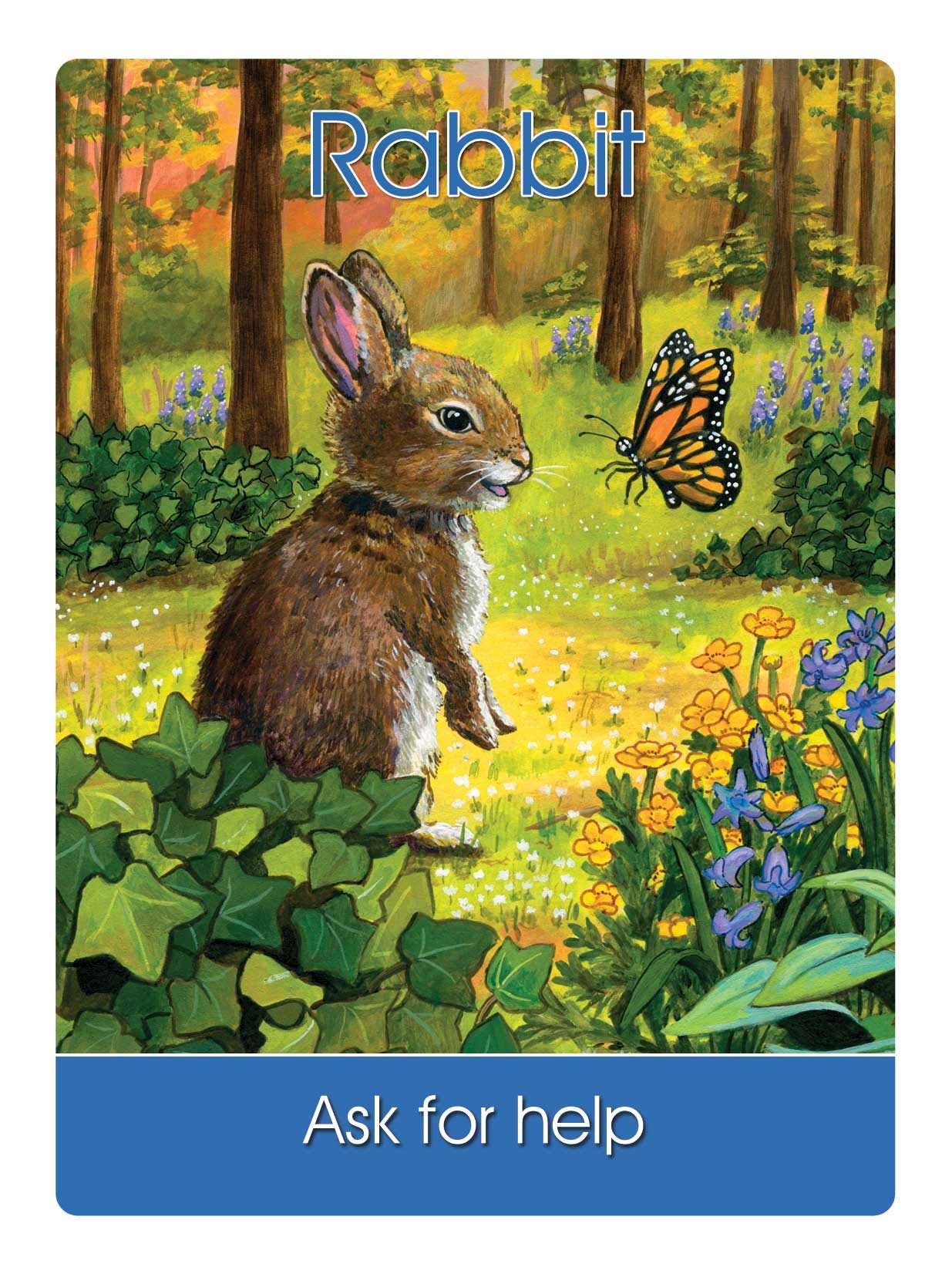 Children'S Spirit Animal Cards: 24 Cards And 92 Page Author'S Guidebook,New