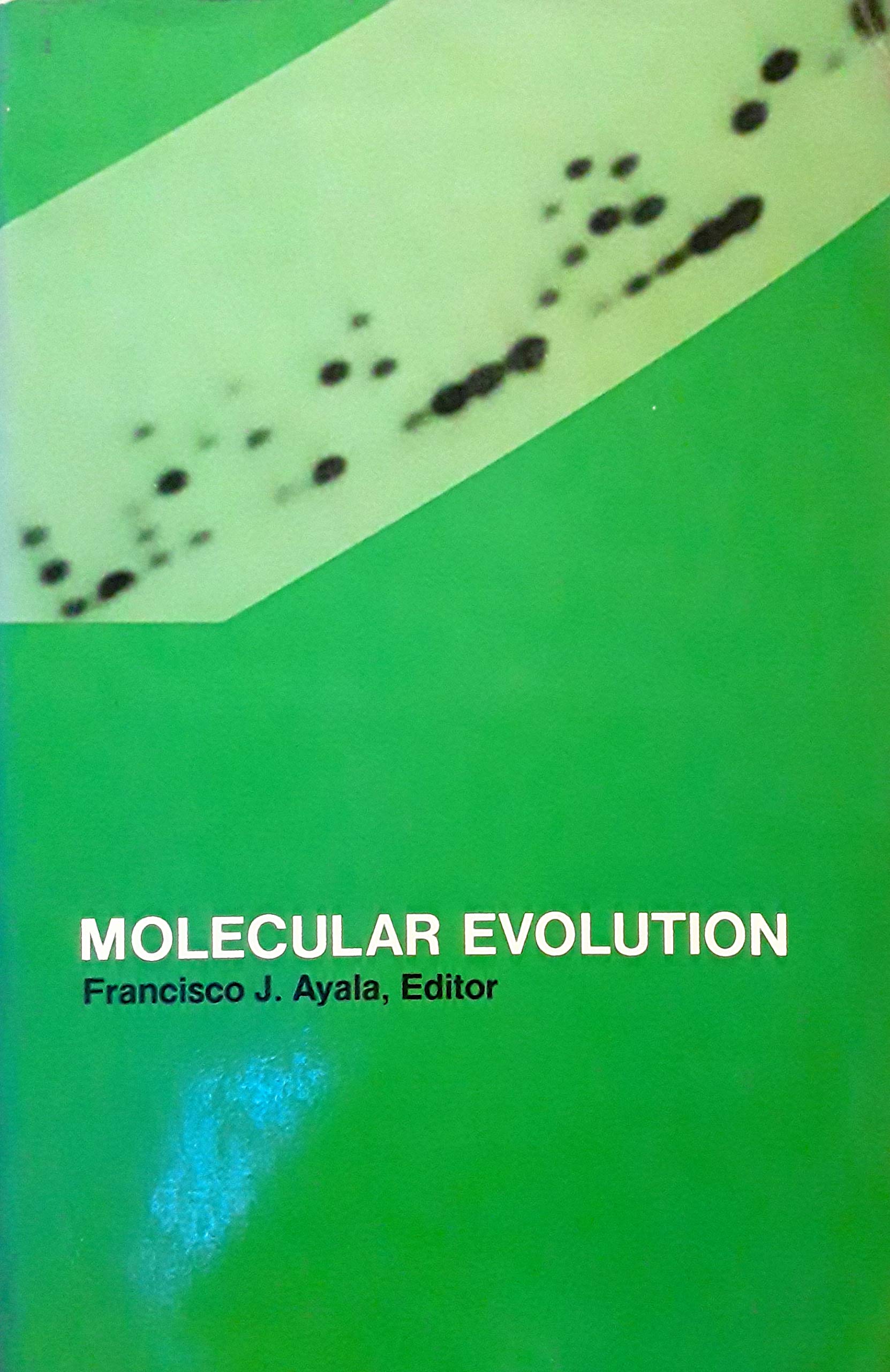 Molecular evolution,Used