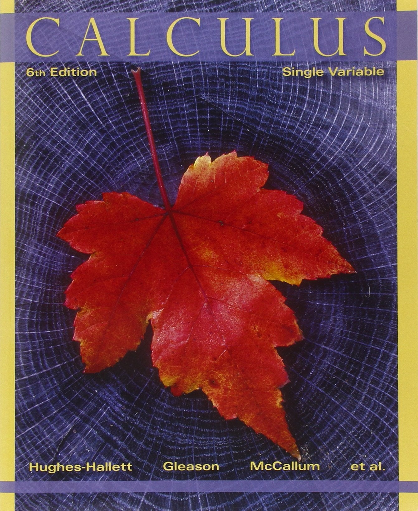 Calculus: Single Variable,New