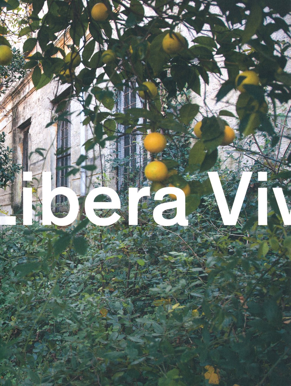 Elisabeth Hlzl: Libera Viva,Used