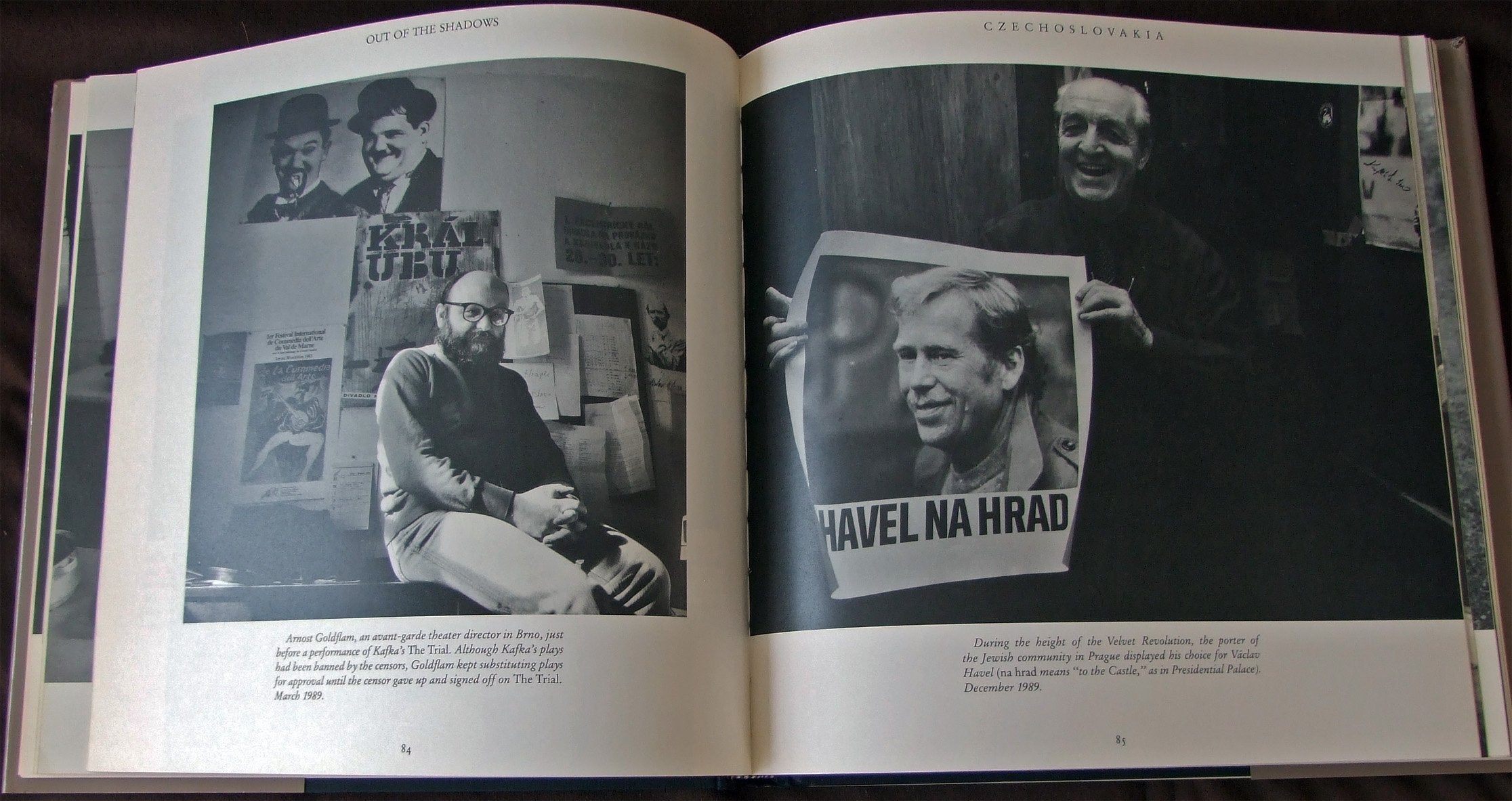 Out of the Shadows: A Photographic Portrait of Jewish Life in Central Europe Since the Holocaust,Used