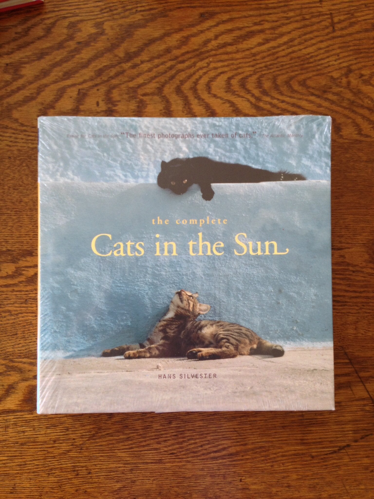 The Complete Cats in the Sun,Used