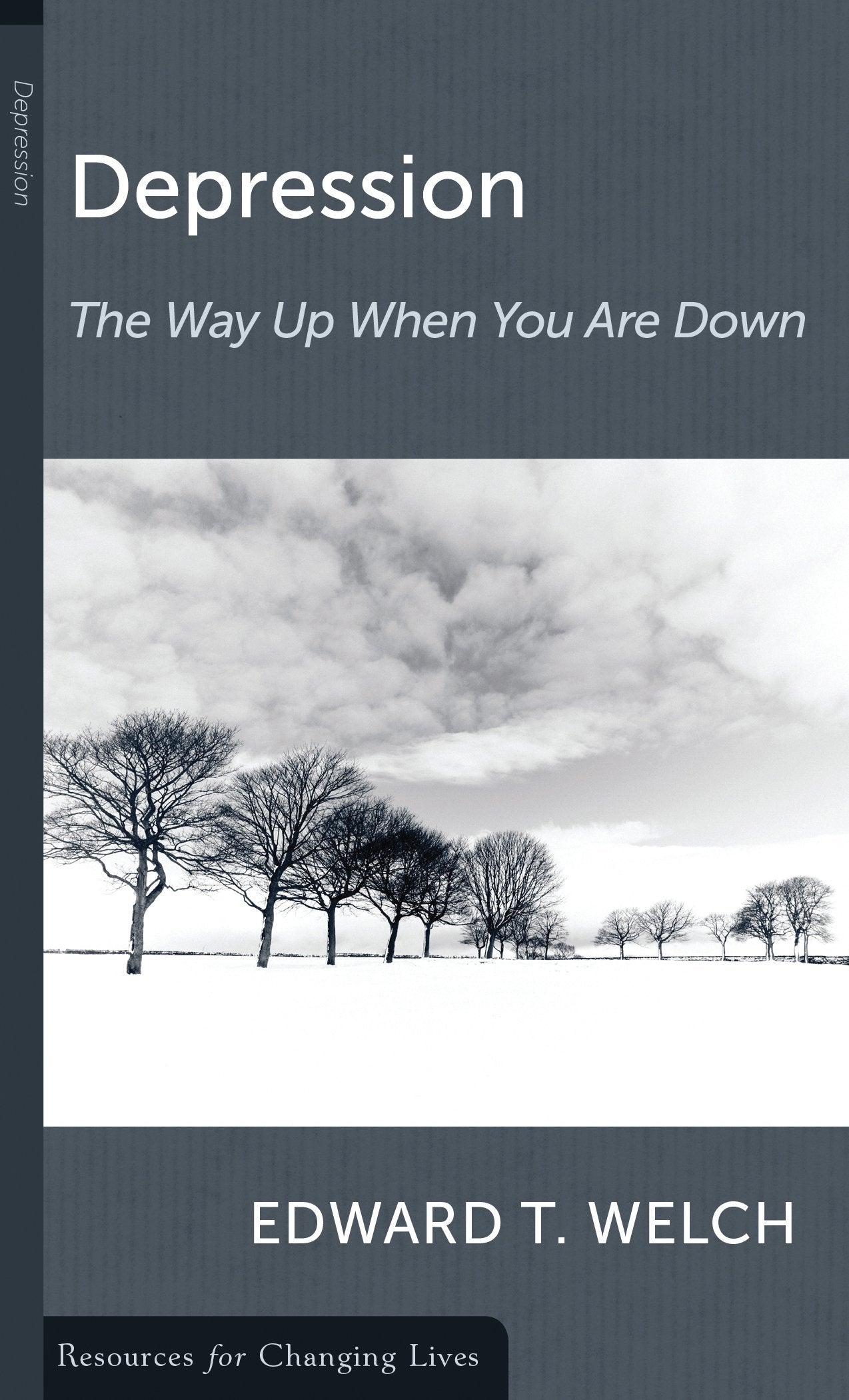 Depression: The Way Up When You Are Down,Used