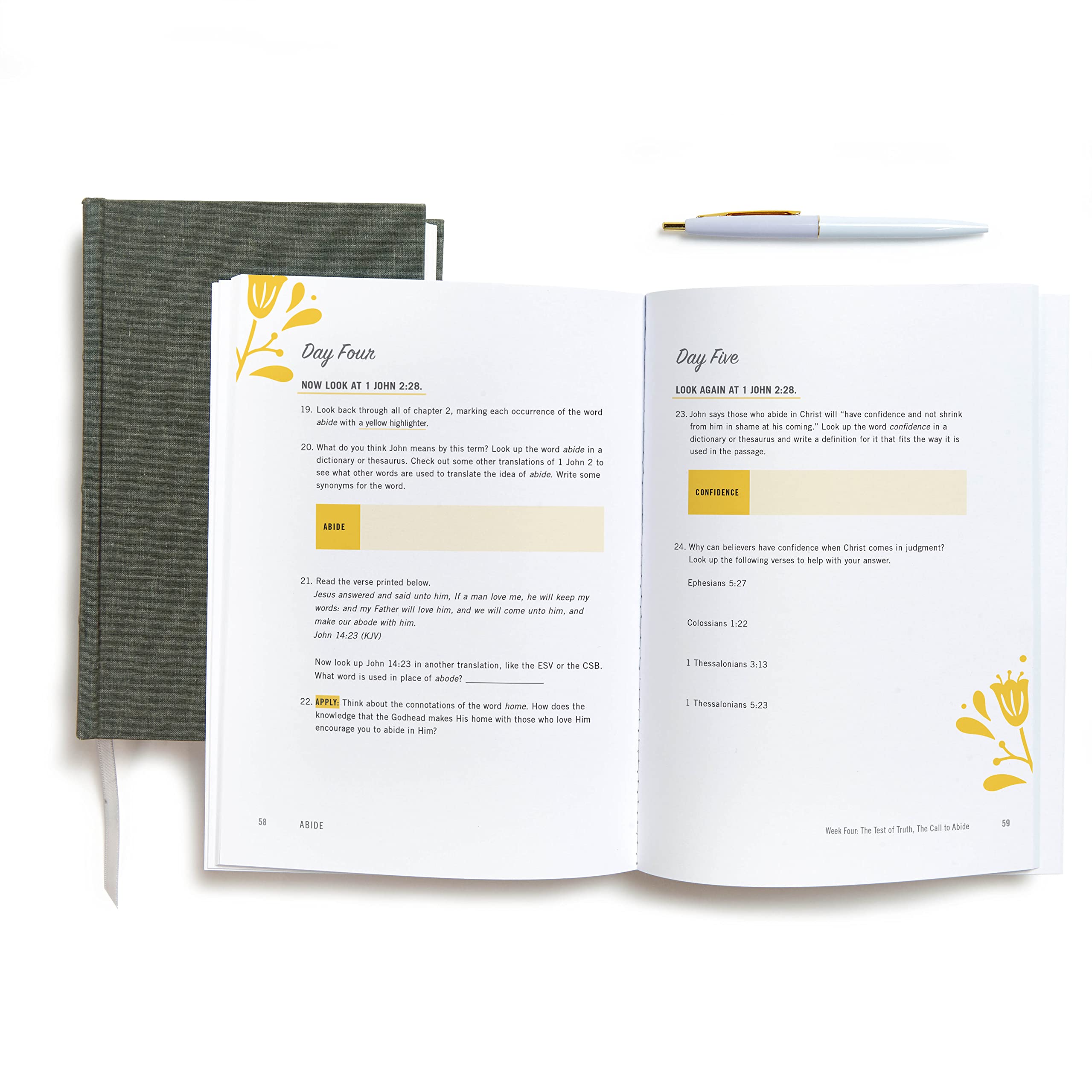 Abide Bible Study Book with Video Access: A Study of 1, 2, and 3 John,New