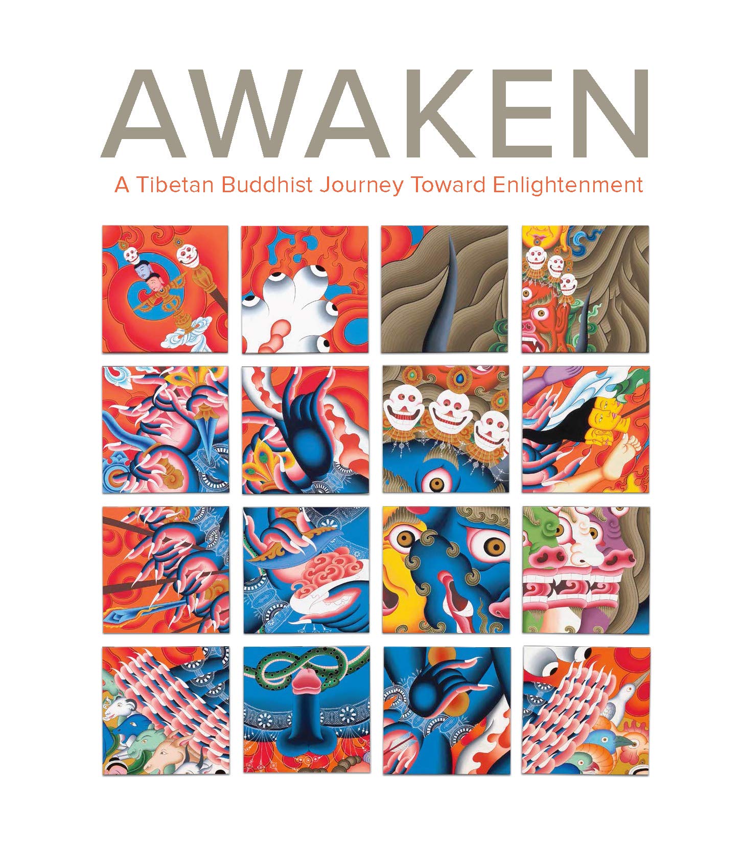 Awaken: A Tibetan Buddhist Journey Toward Enlightenment,Used