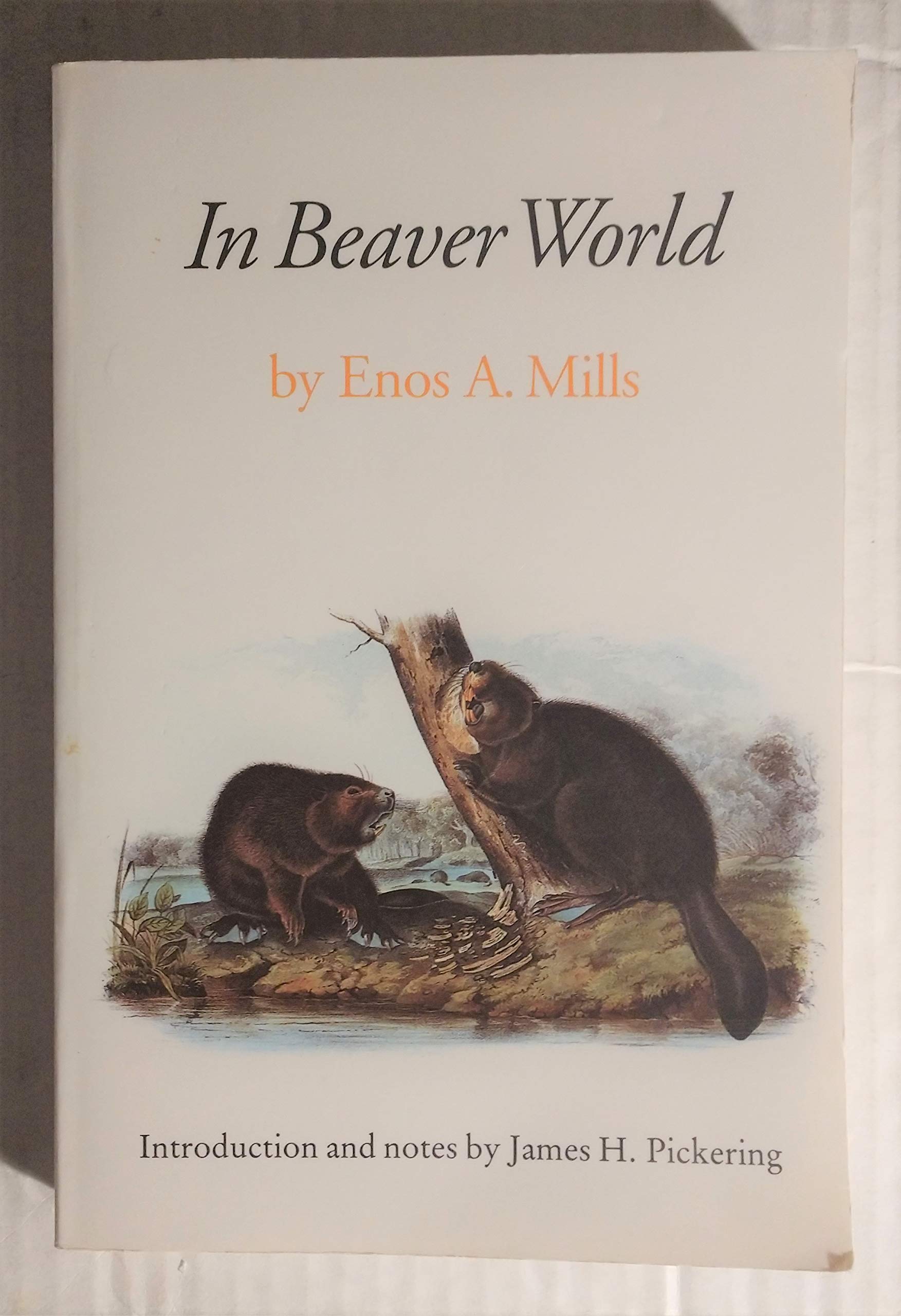In Beaver World,Used