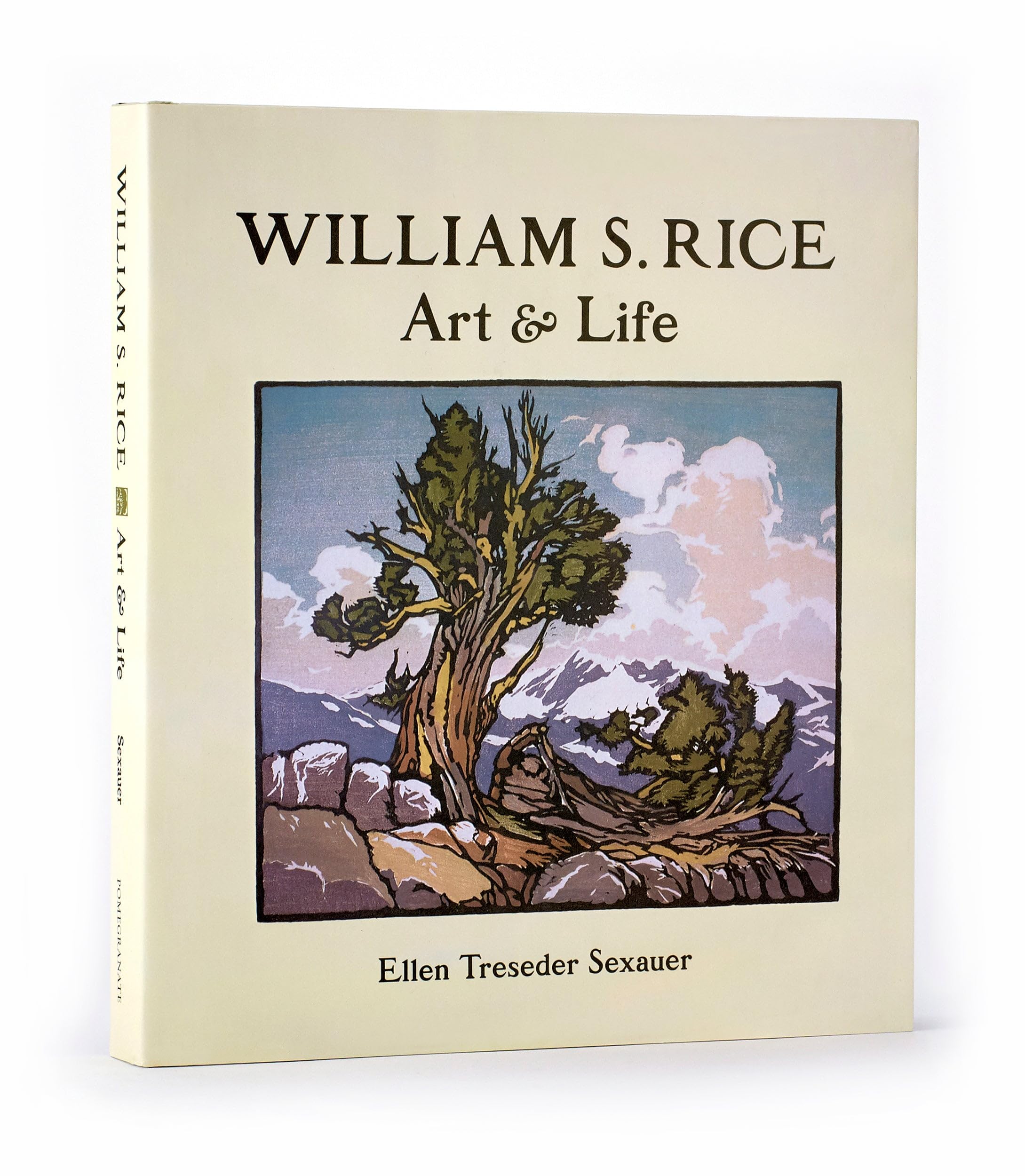 William S. Rice: Art & Life,Used