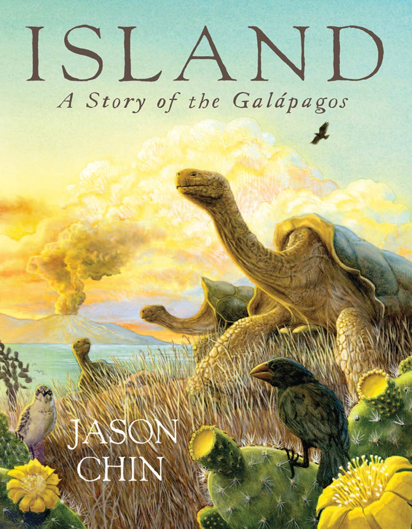 Island: A Story of the Galpagos,Used