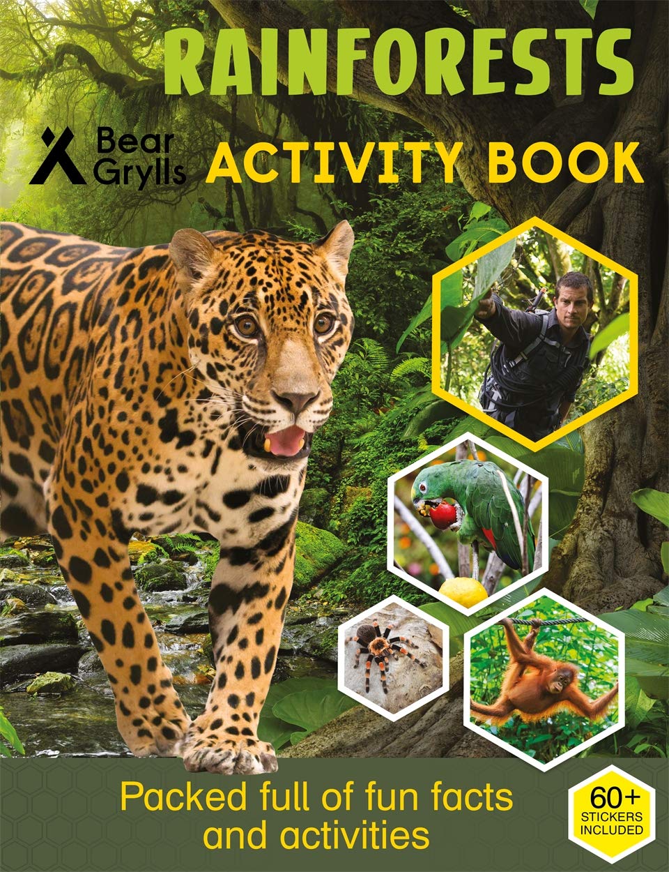 Bear Grylls Sticker Activity: Rainforest,Used
