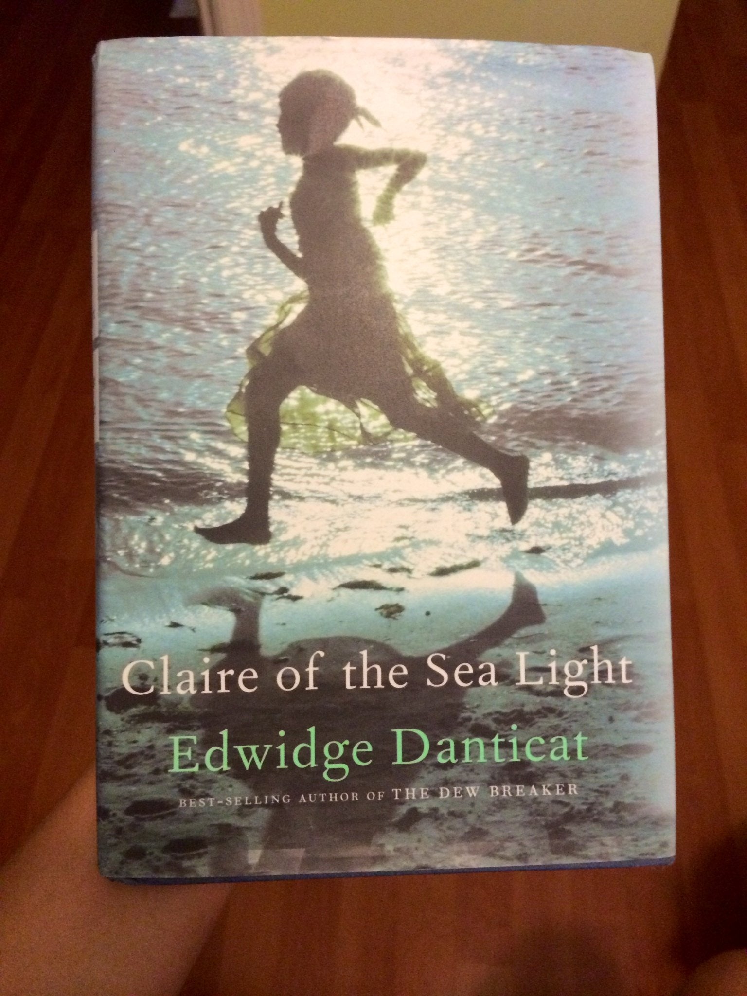 Claire of the Sea Light,Used