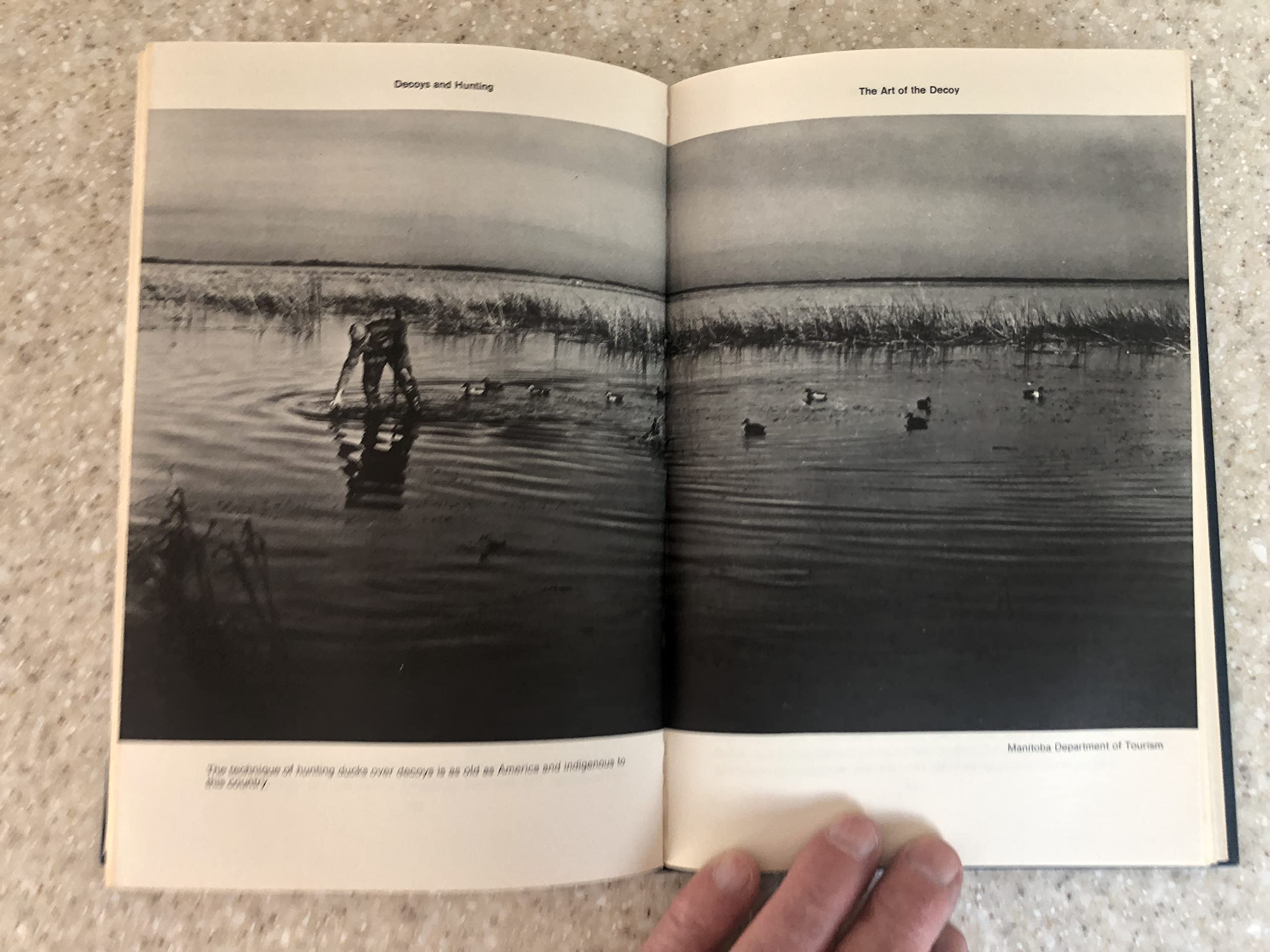 MISTY MORNINGS AND MOONLESS NIGHTS A Waterfowler's Guide,Used