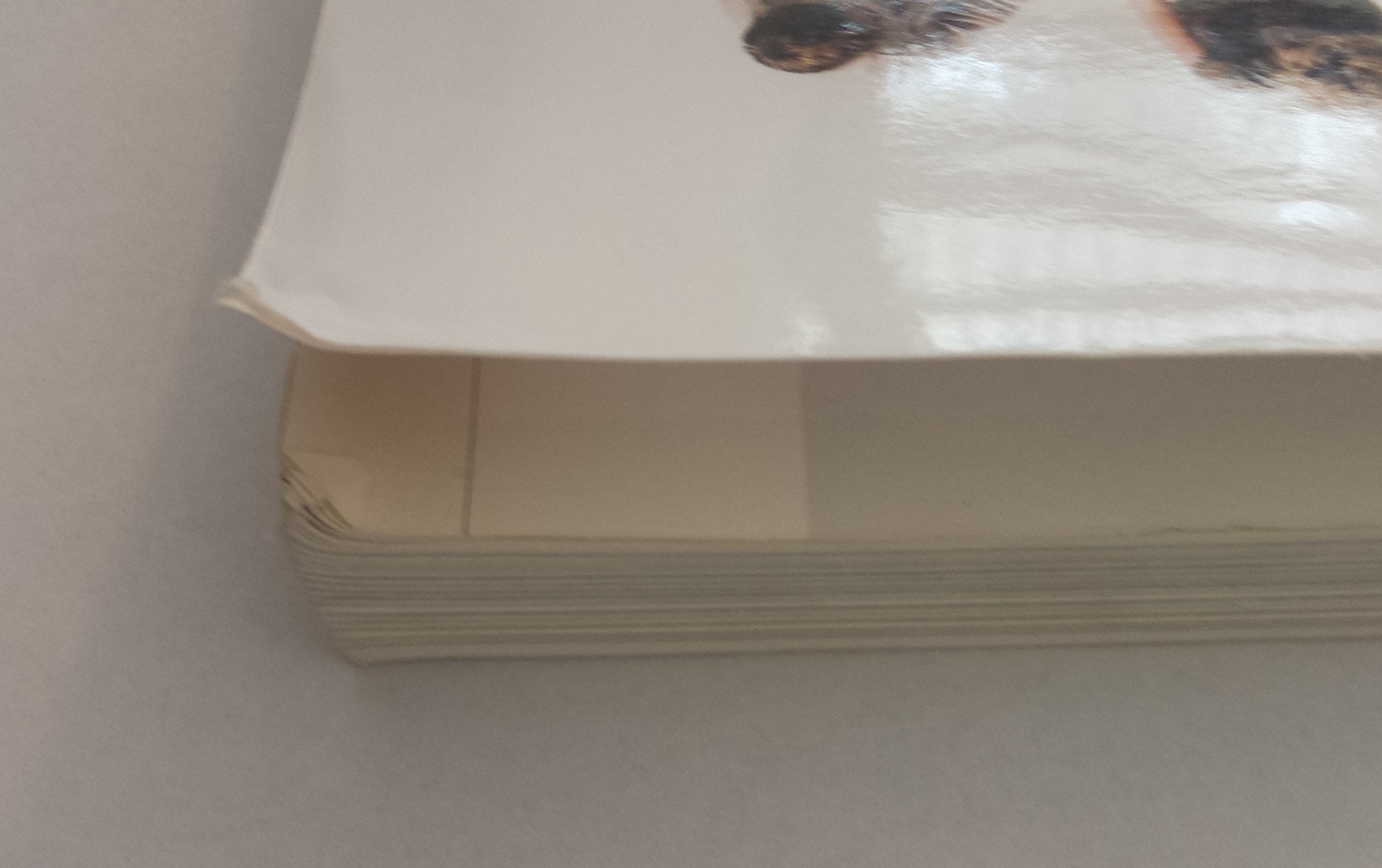 Essentials of Business Communication,New