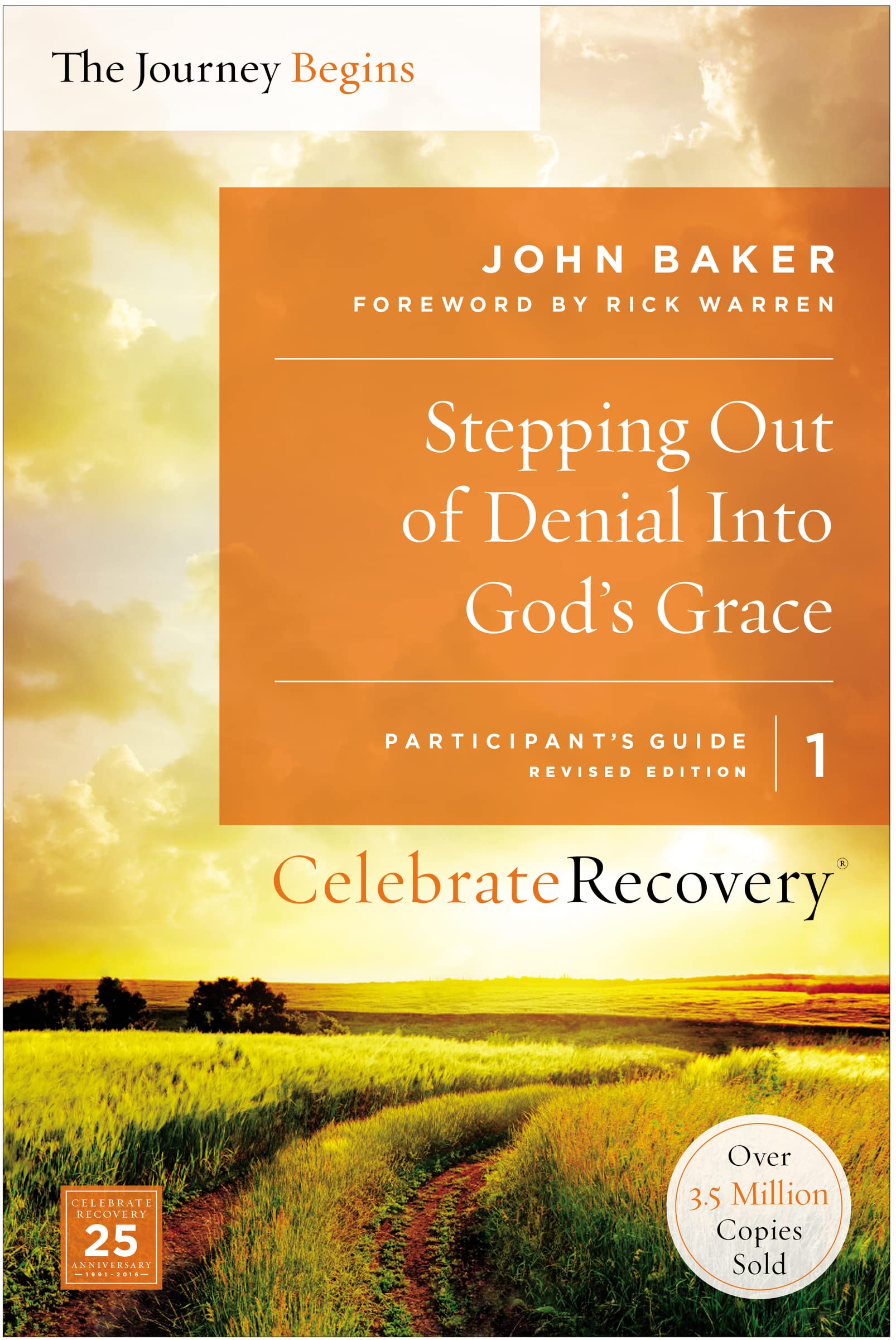 Stepping Out of Denial into God's Grace Participant's Guide 1: A Recovery Program Based on Eight Principles from the Beatitudes ,Used