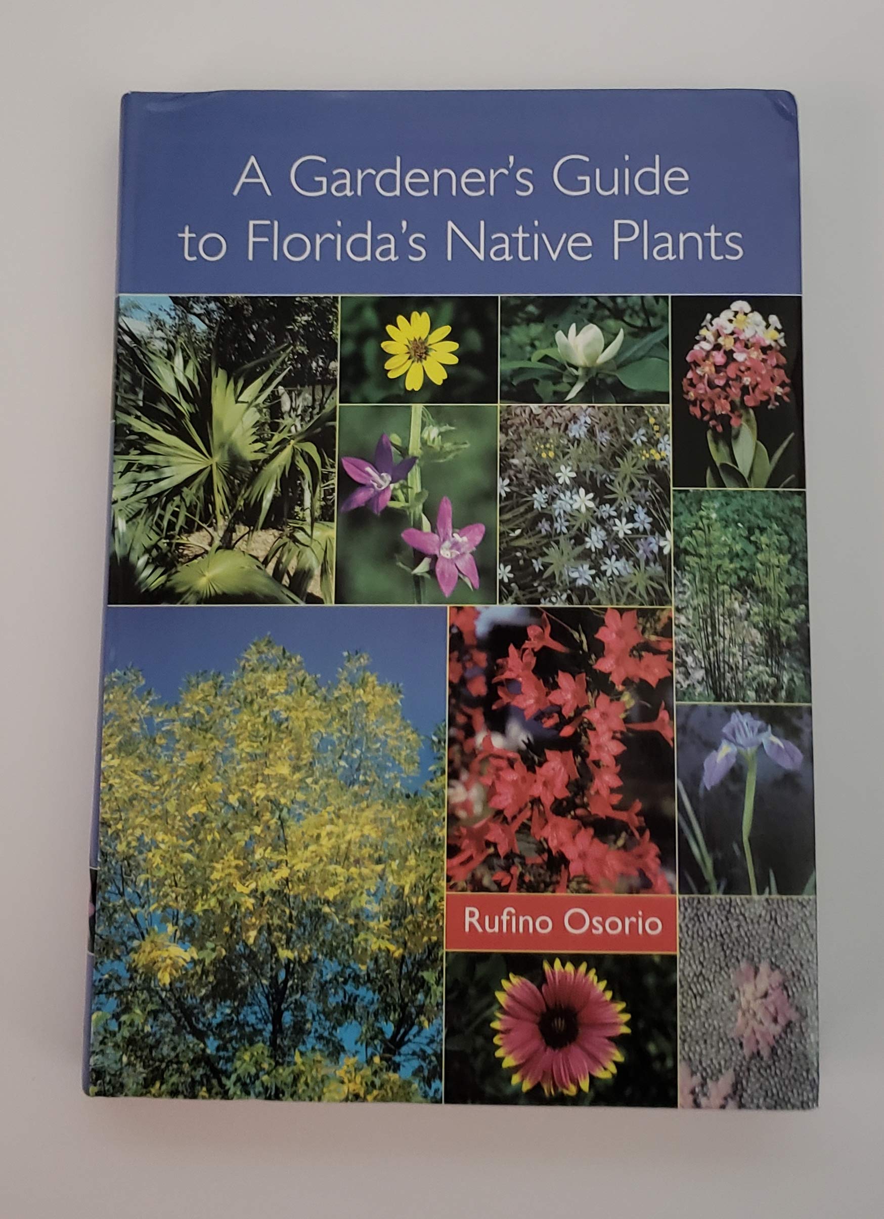 A Gardener's Guide to Florida's Native Plants,New