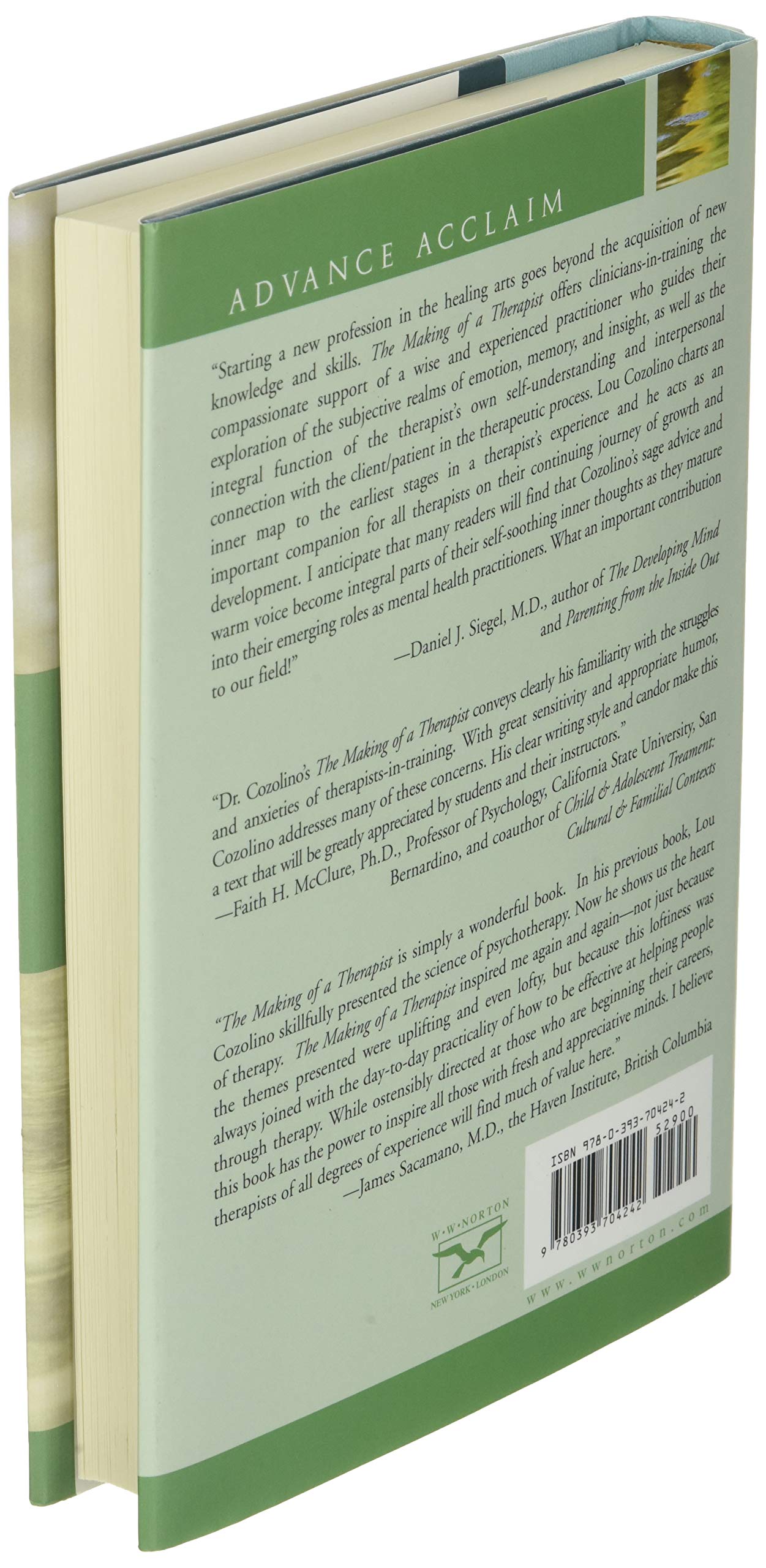 The Making of a Therapist (Norton Professional Books),New