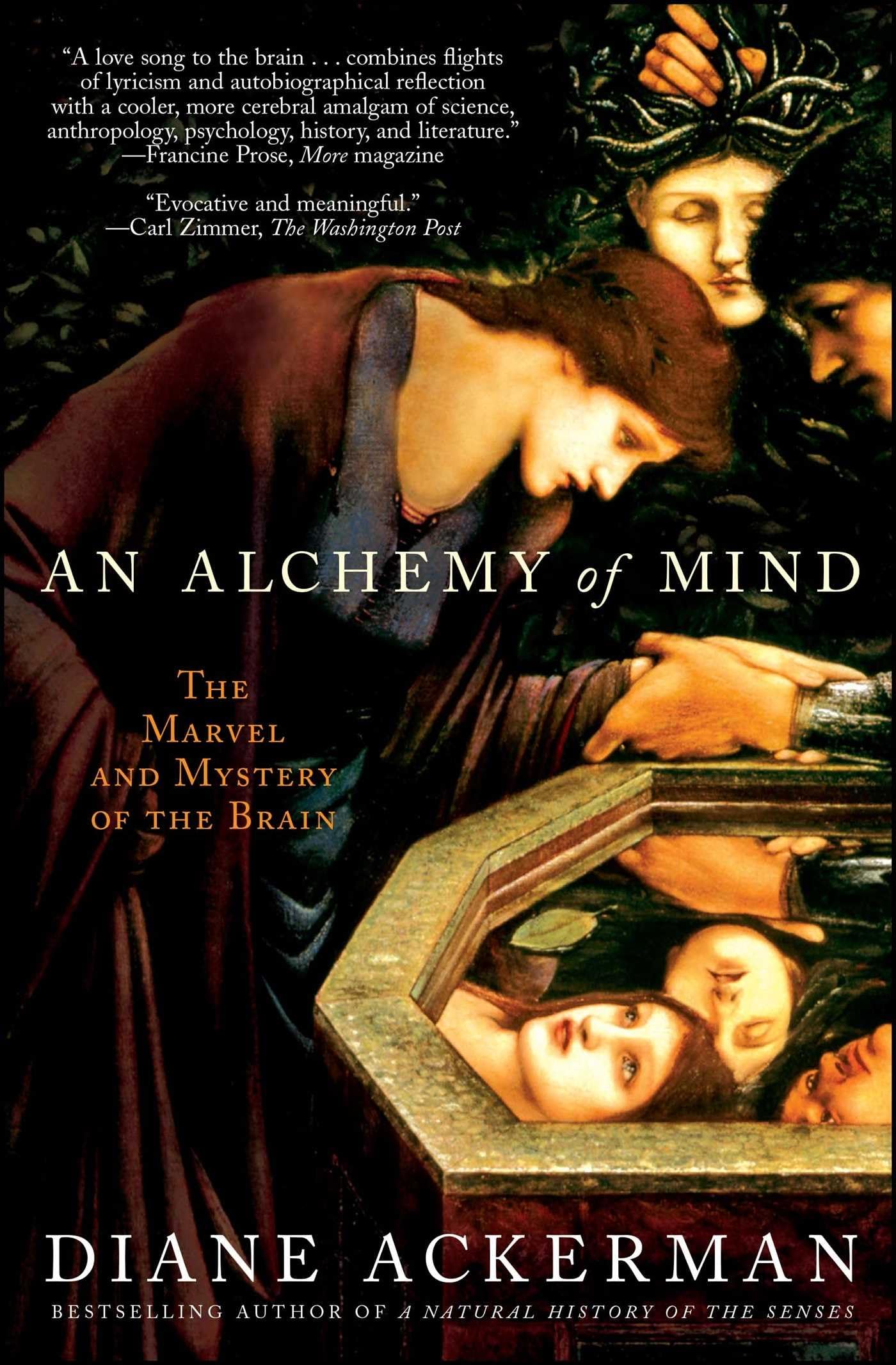 An Alchemy of Mind: The Marvel and Mystery of the Brain,Used