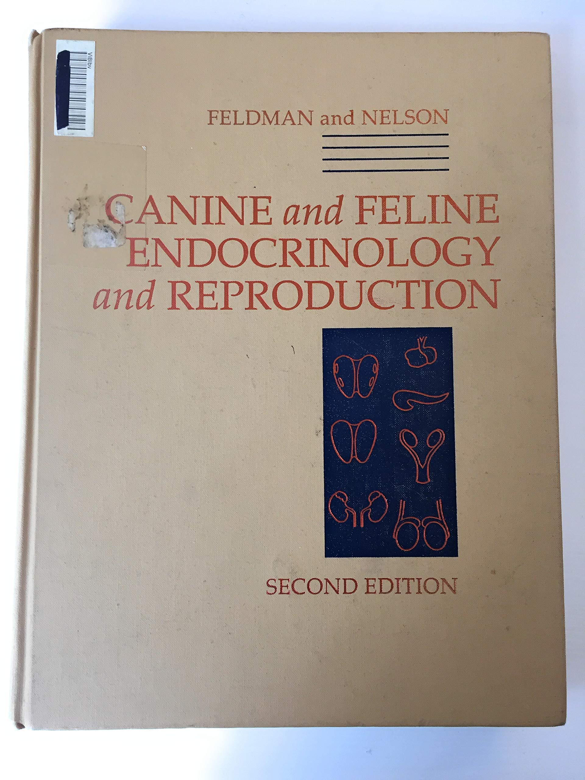 Canine And Feline Endocrinology And Reproduction,New