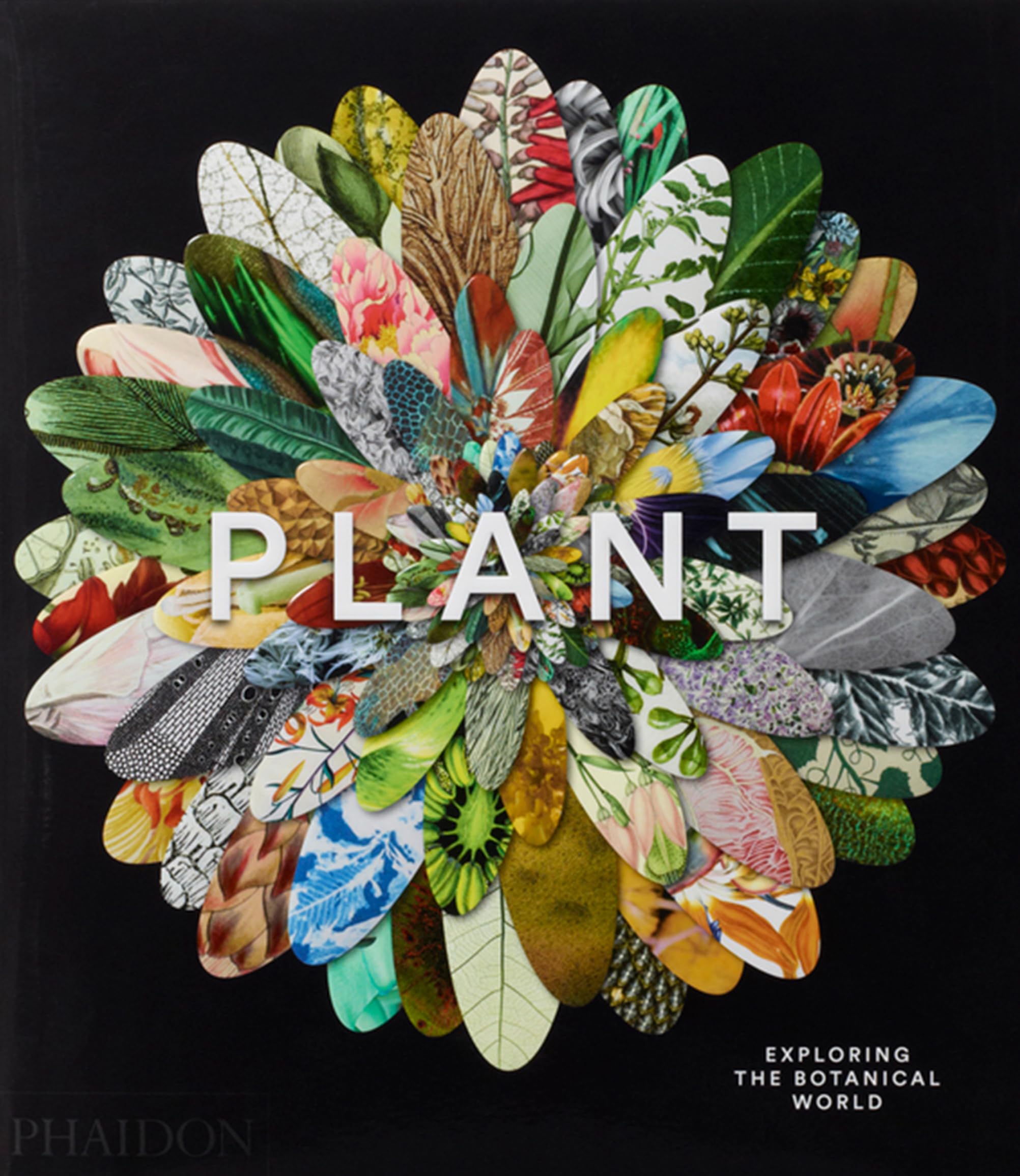 Plant: Exploring The Botanical World,Used