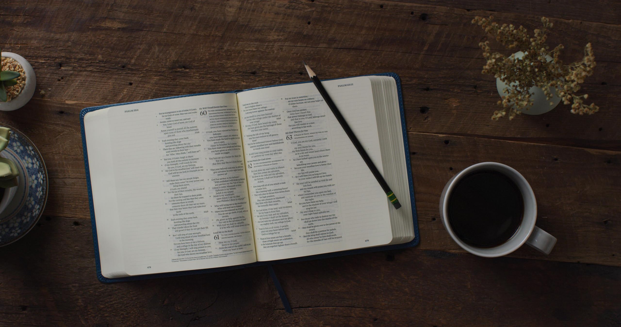 ESV Journaling Bible (TruTone, Deep Teal, Fleurdelis Design),Used