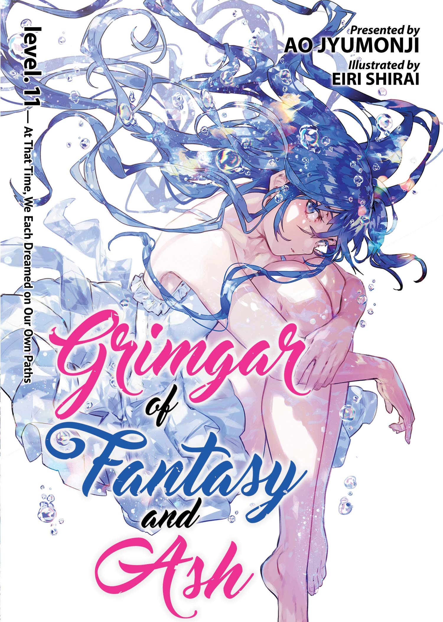 Grimgar of Fantasy and Ash (Light Novel) Vol. 11,Used