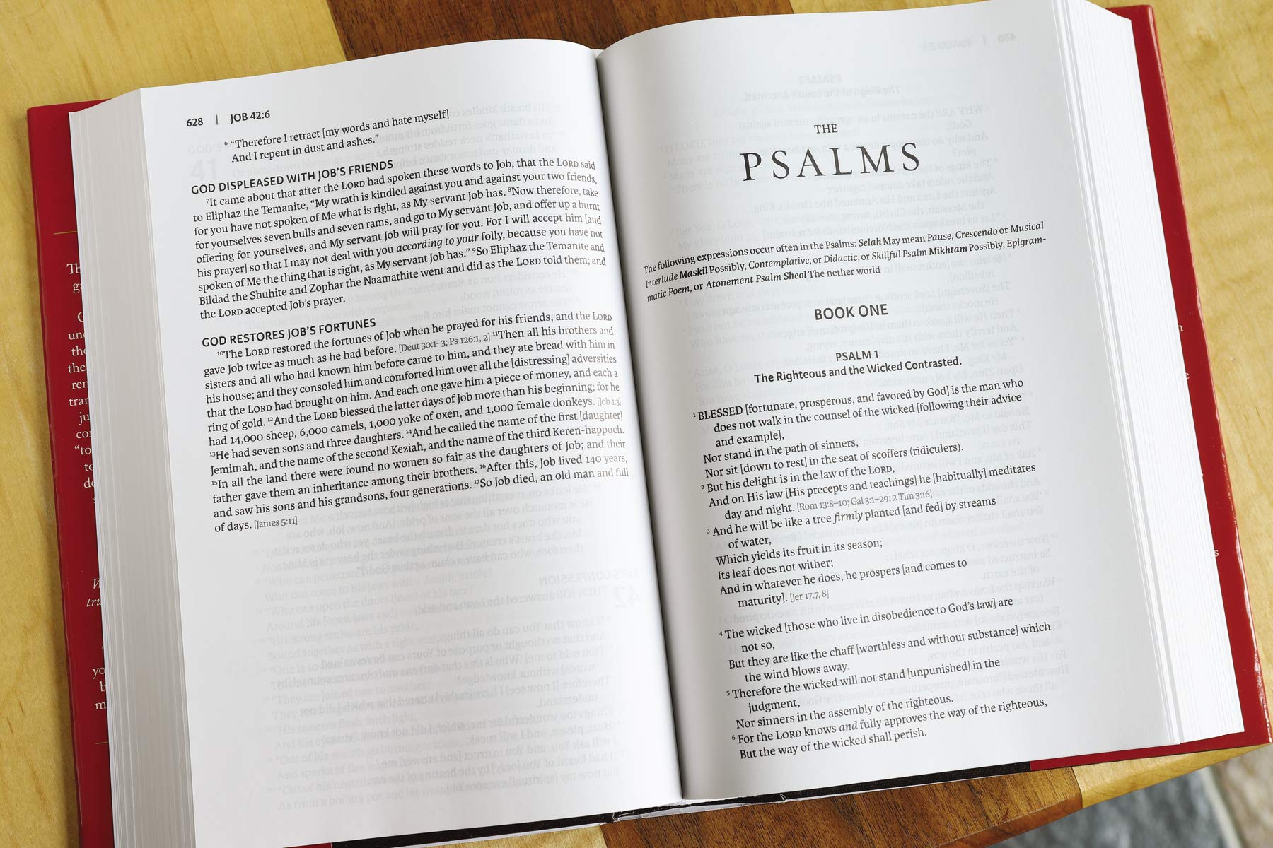 Amplified Reading Bible, Hardcover: A ParagraphStyle Amplified Bible for a Smoother Reading Experience,Used