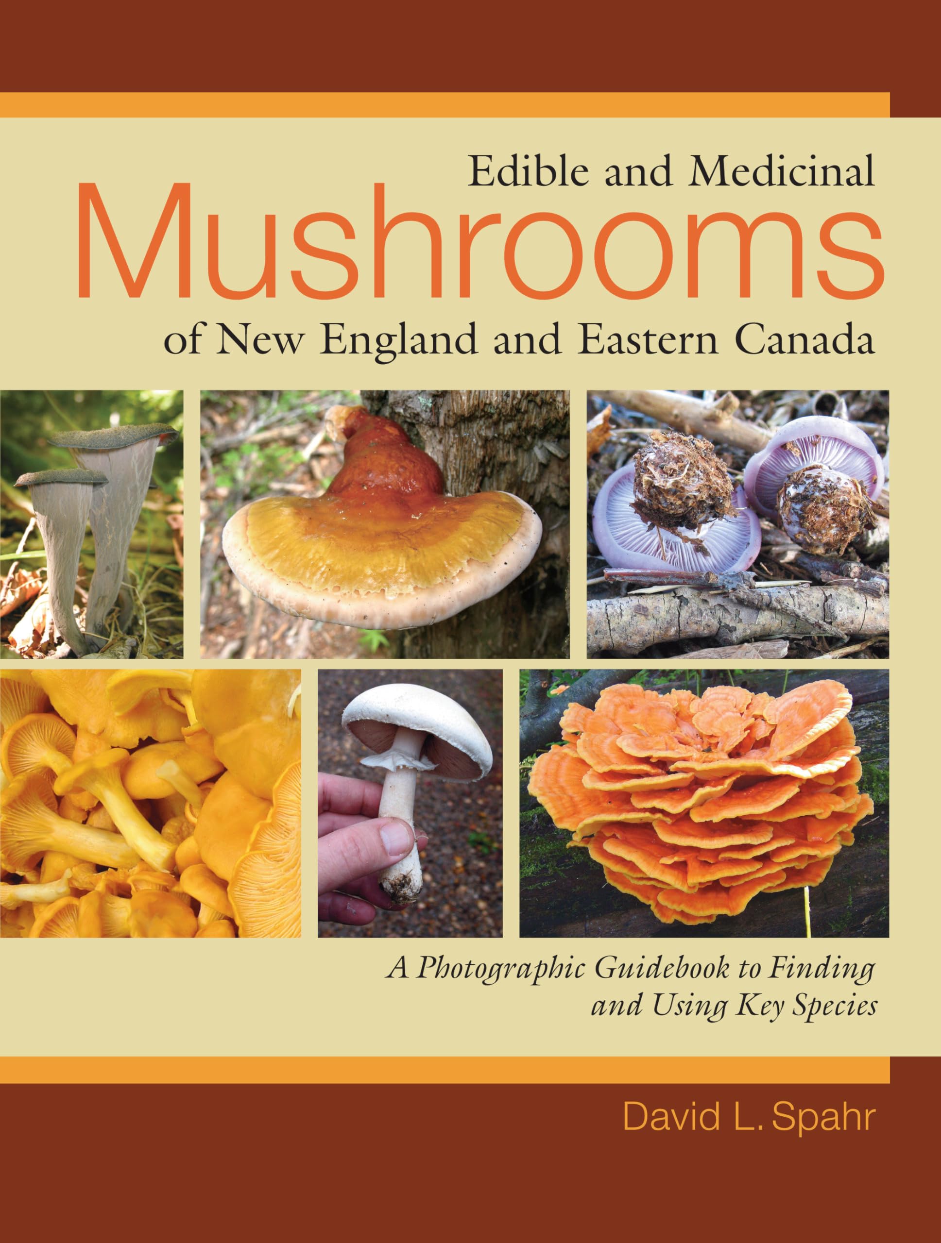 Edible and Medicinal Mushrooms of New England and Eastern Canada: A Photographic Guidebook to Finding and Using Key Species,Used