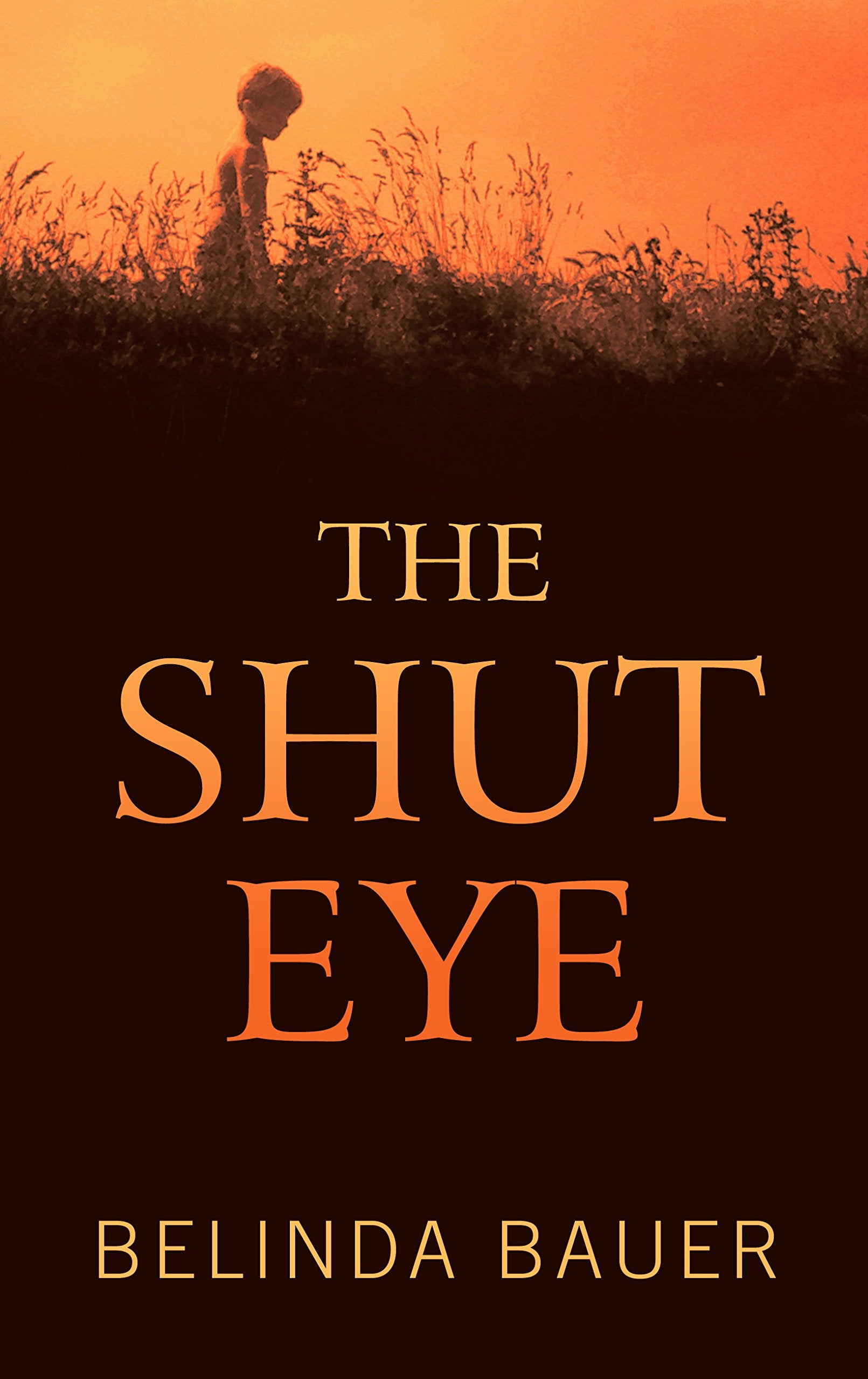 The Shut Eye (Wheeler Publishing Large Print Hardcover),Used