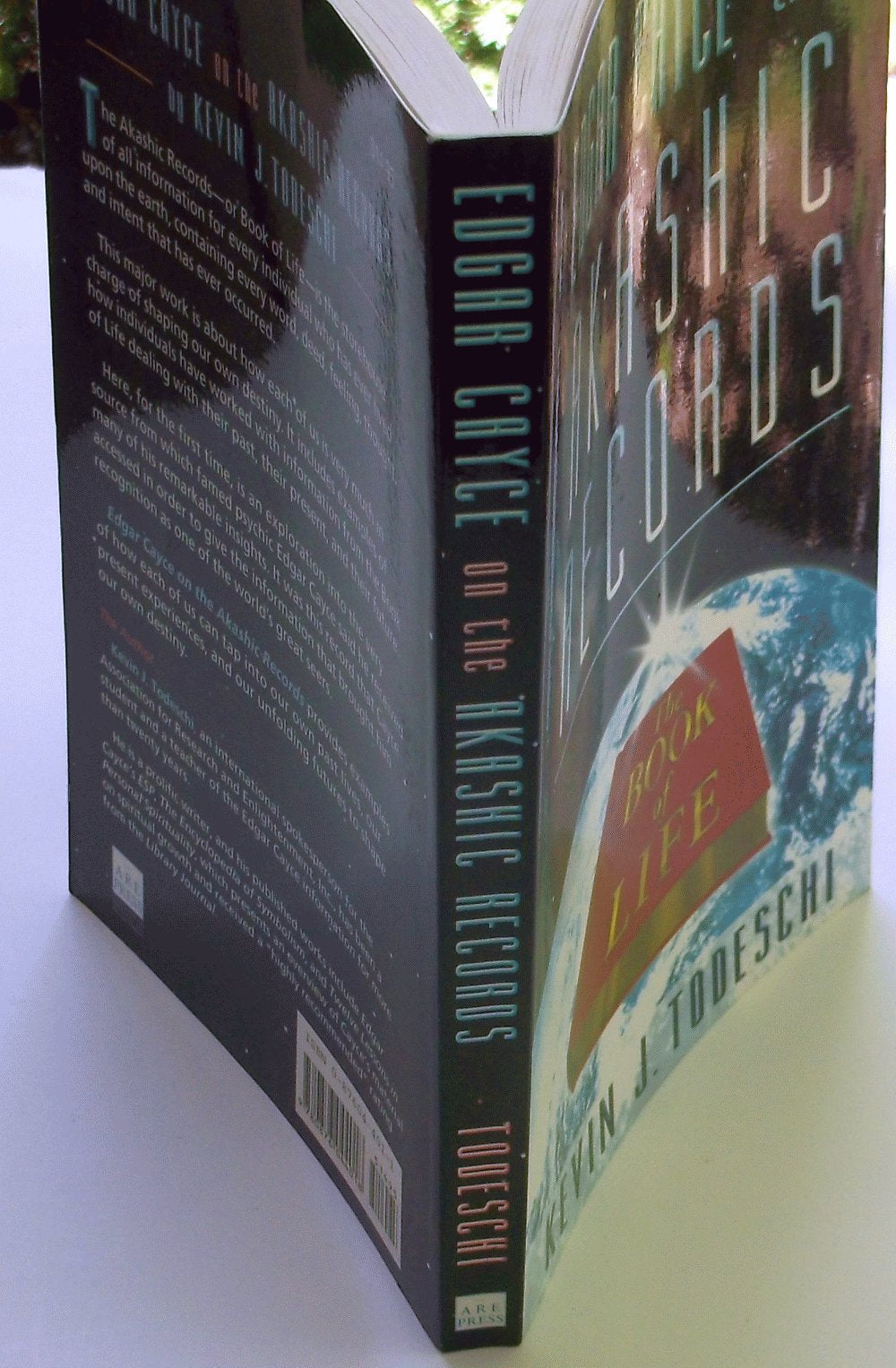 Edgar Cayce On The Akashic Records: The Book Of Life,New