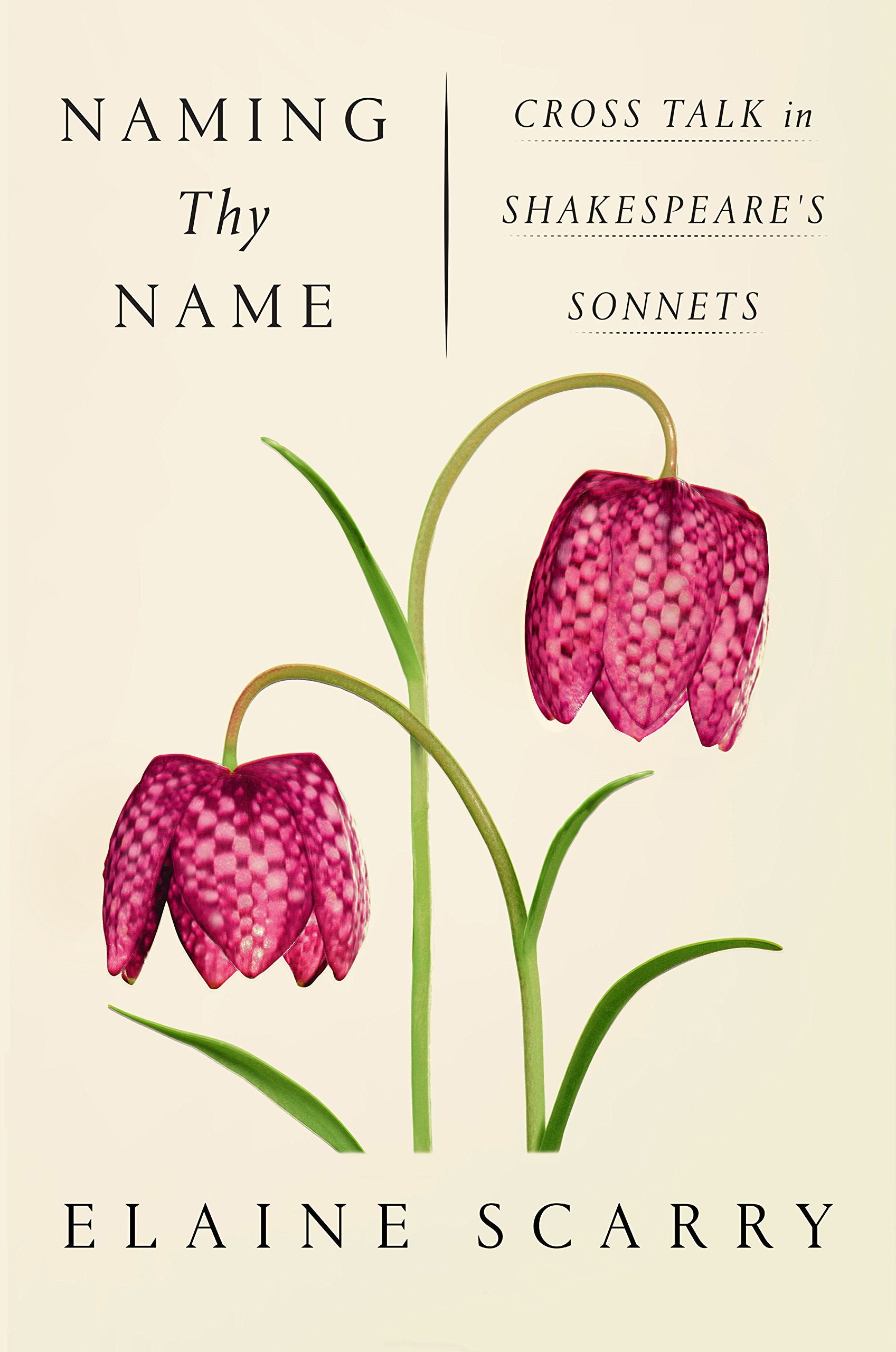 Naming Thy Name: Cross Talk in Shakespeare's Sonnets,Used