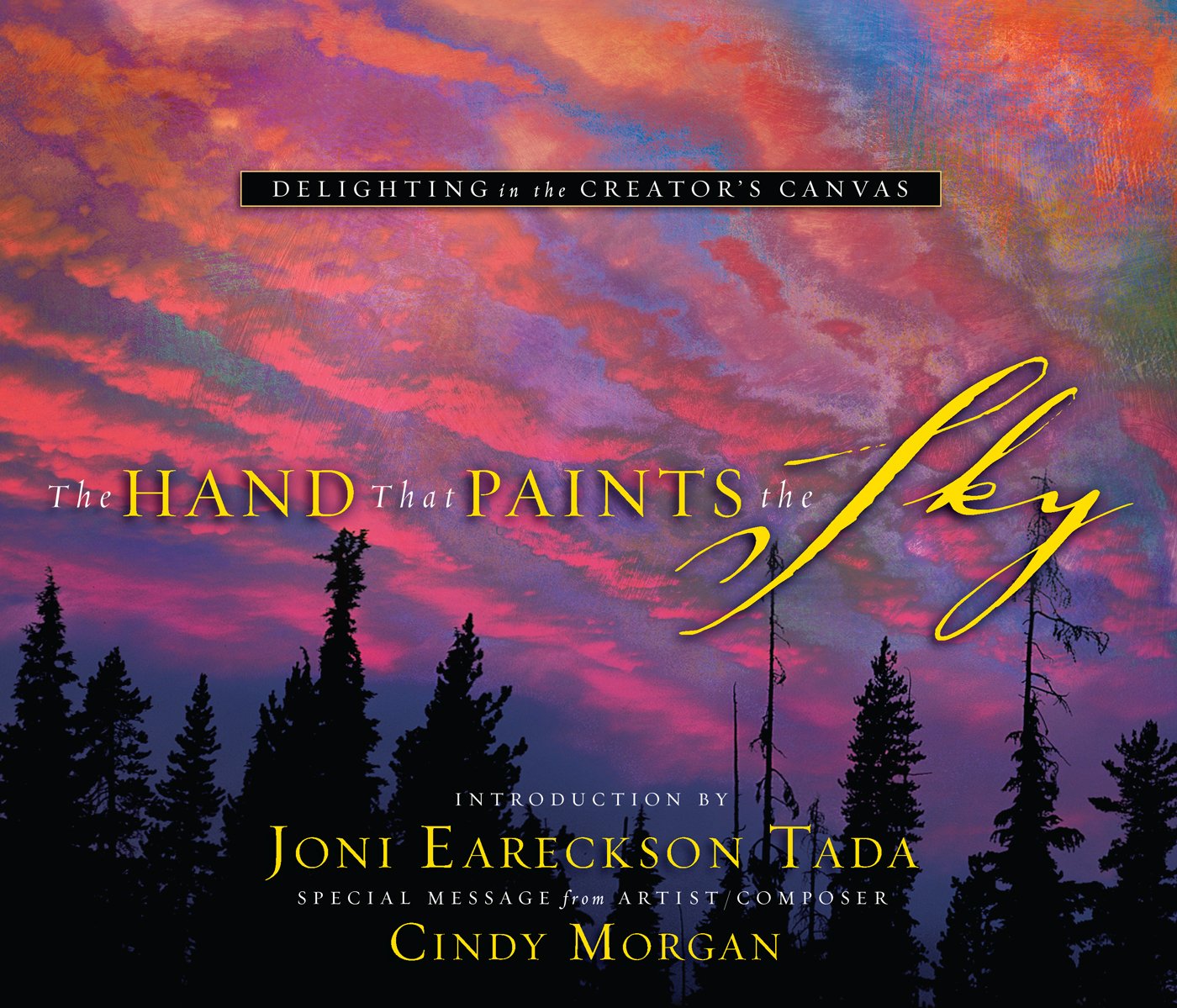 The Hand That Paints the Sky: Delighting in the Creator's Canvas,Used