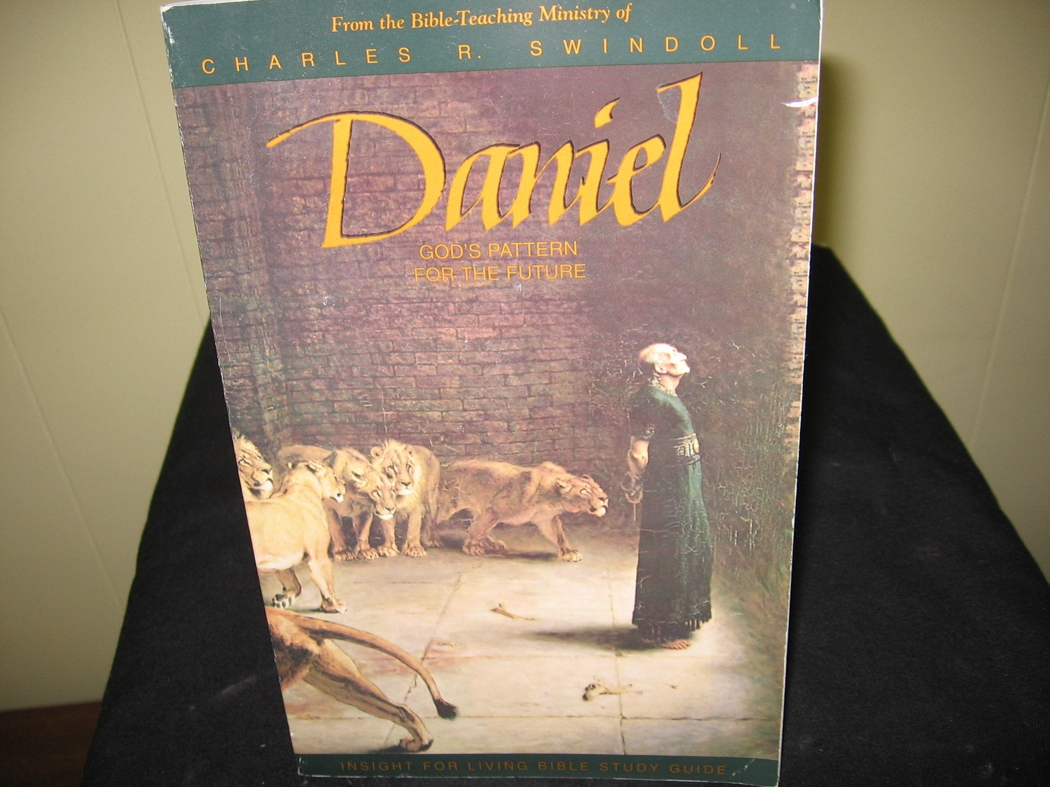 Daniel: God's Pattern for the Future,Used