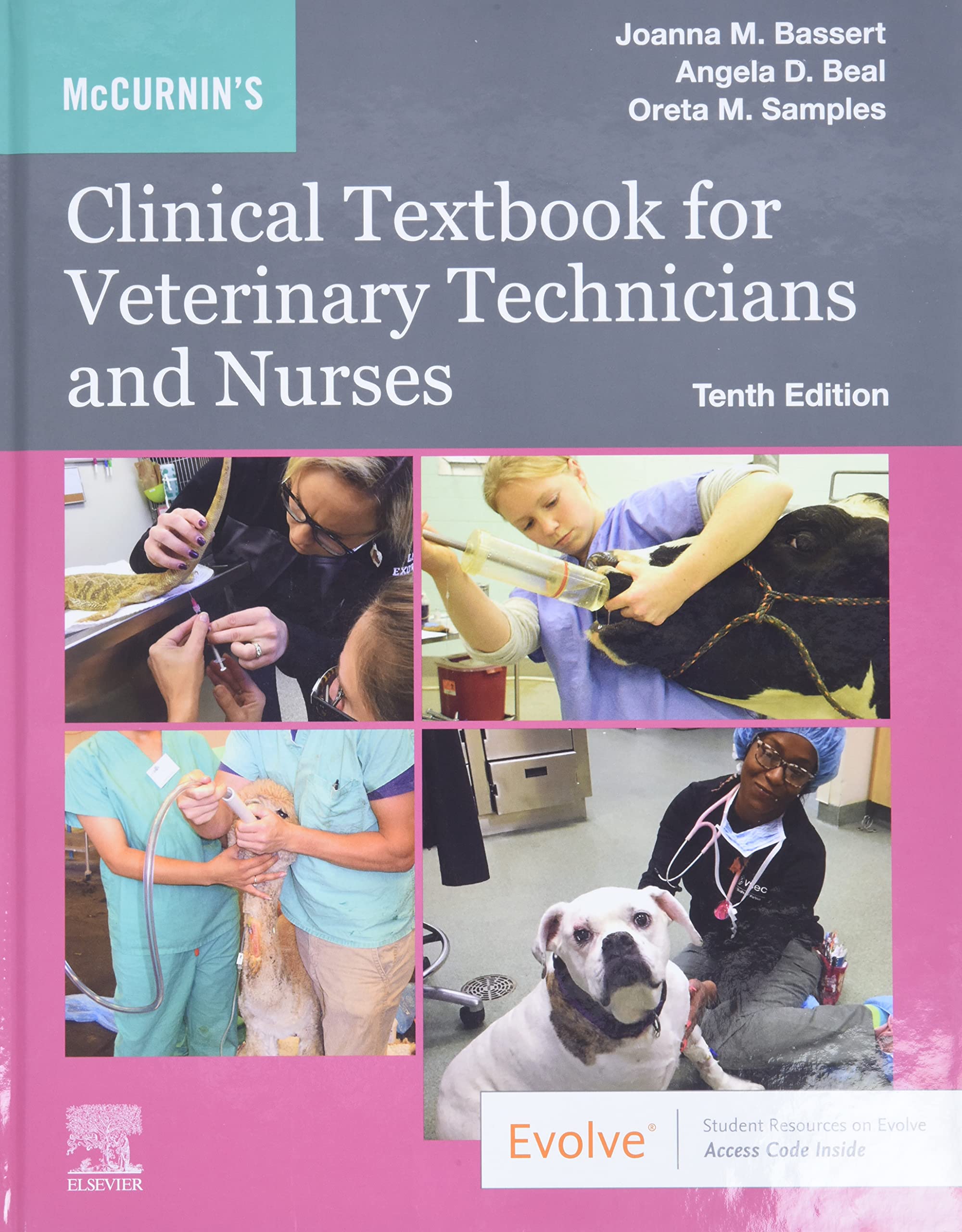 Mccurnin'S Clinical Textbook For Veterinary Technicians And Nurses-used