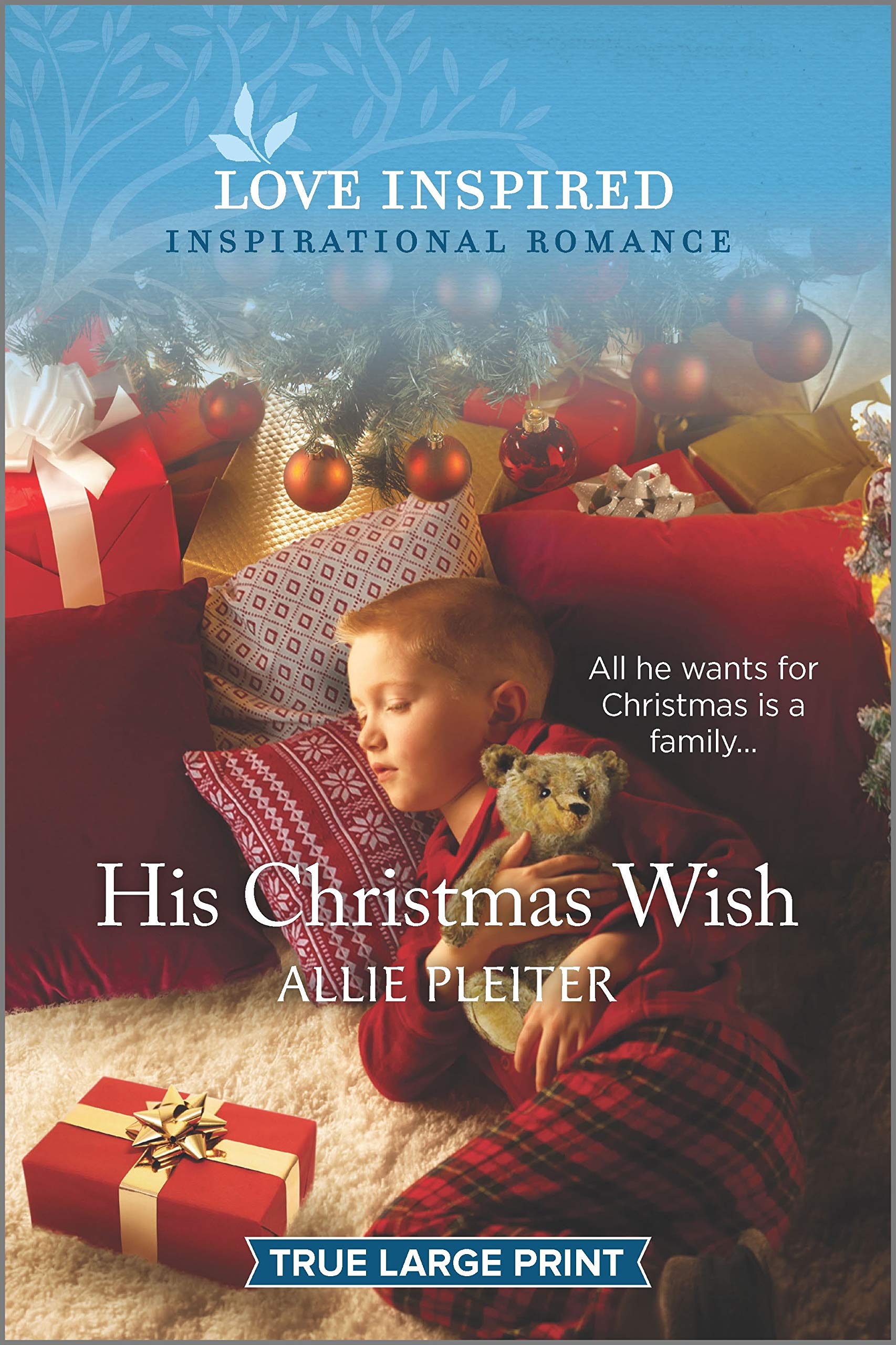 His Christmas Wish (Wander Canyon, 3),Used