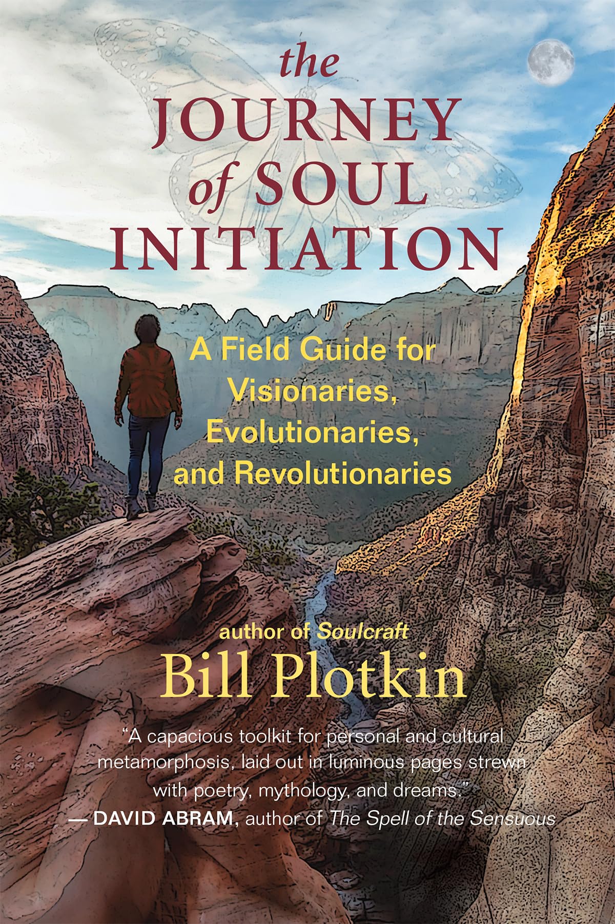 The Journey Of Soul Initiation: A Field Guide For Visionaries, Evolutionaries, And Revolutionaries
