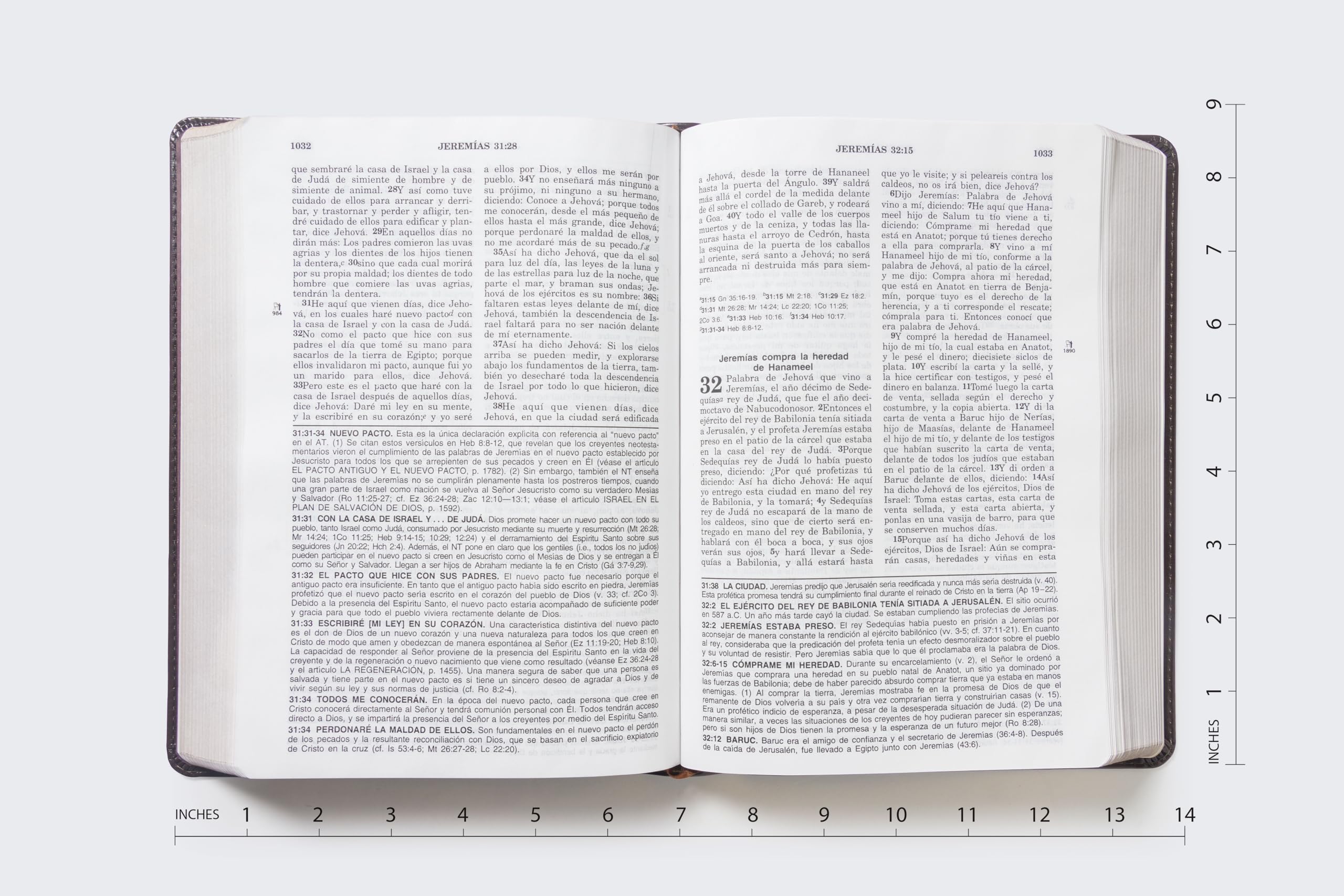 RVR60, Biblia de Estudio de la vida plena, Leathersoft Italian Duotone, Caf (Spanish Edition),Used