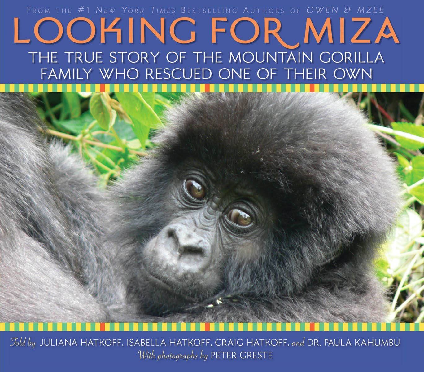 Looking For Miza: The True Story Of The Mountain Gorilla Family Who Rescued On Of Their Own,Used