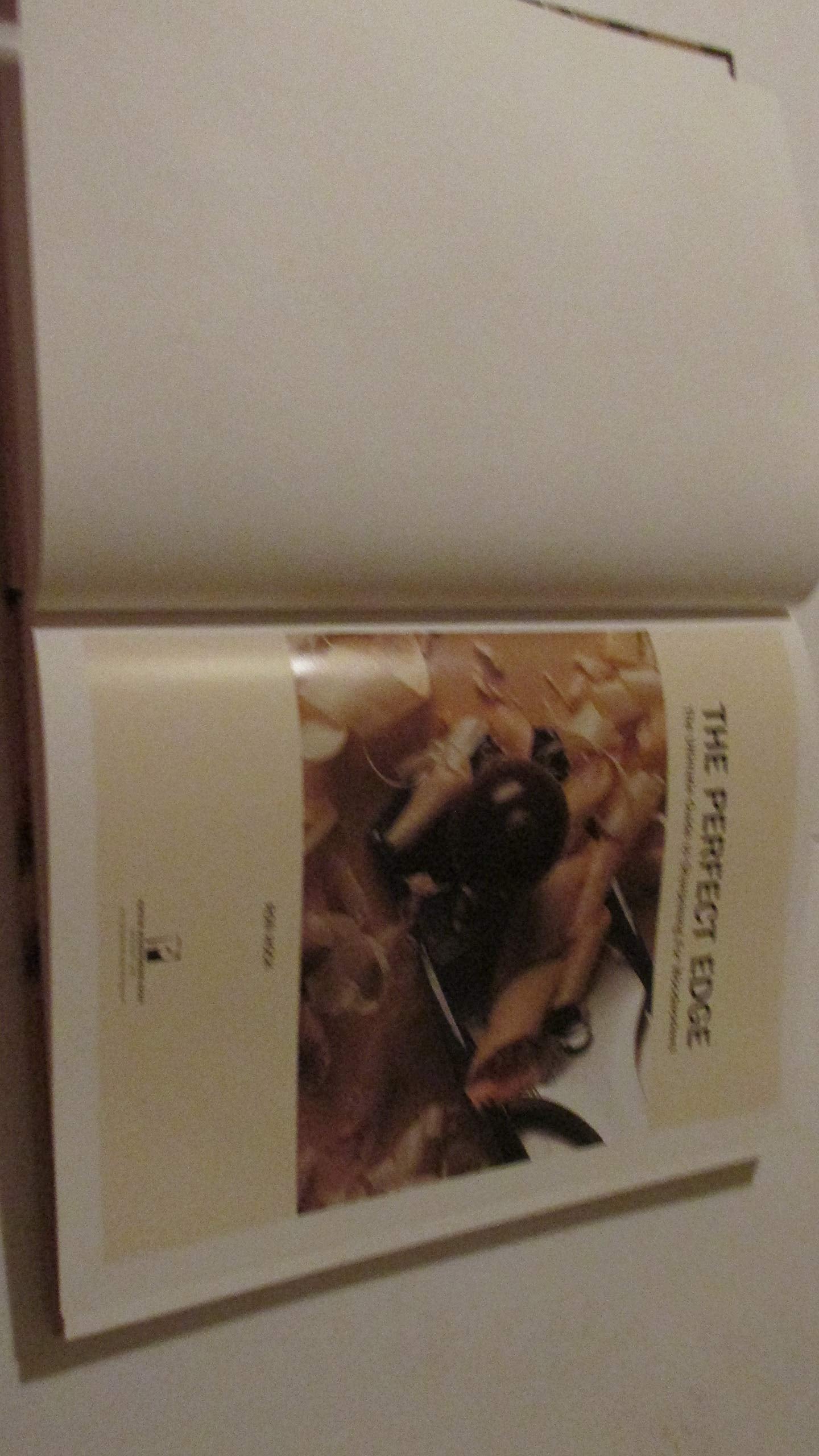 The Perfect Edge: The Ultimate Guide to Sharpening for Woodworkers,Used