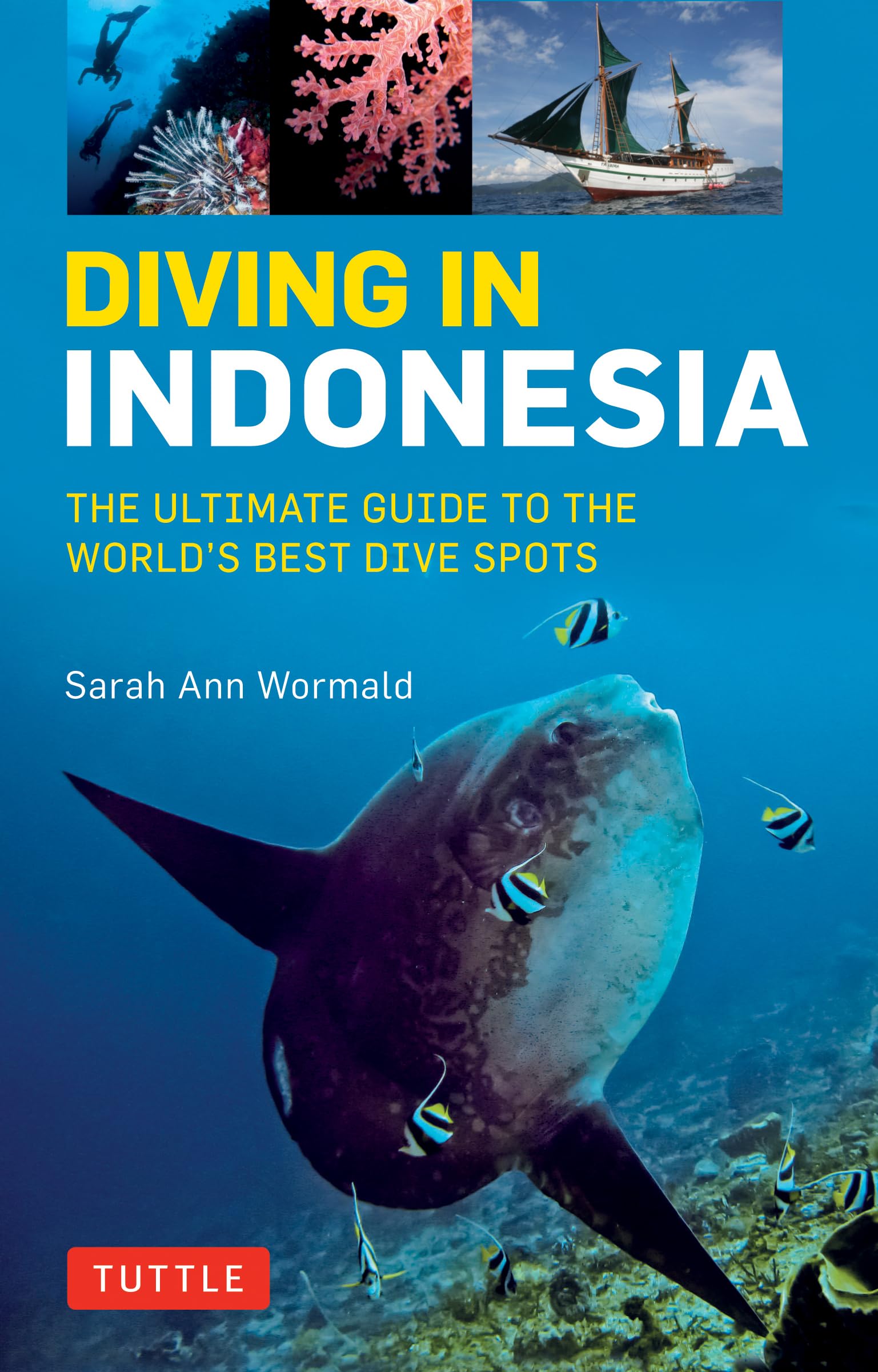Diving In Indonesia: The Ultimate Guide To The World'S Best Dive Spots: Bali, Komodo, Sulawesi, Papua, And More,Used