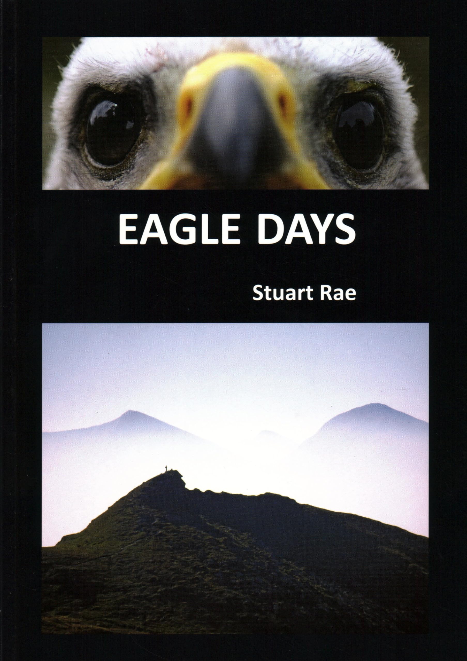 Eagle Days (Wildlife and People),Used